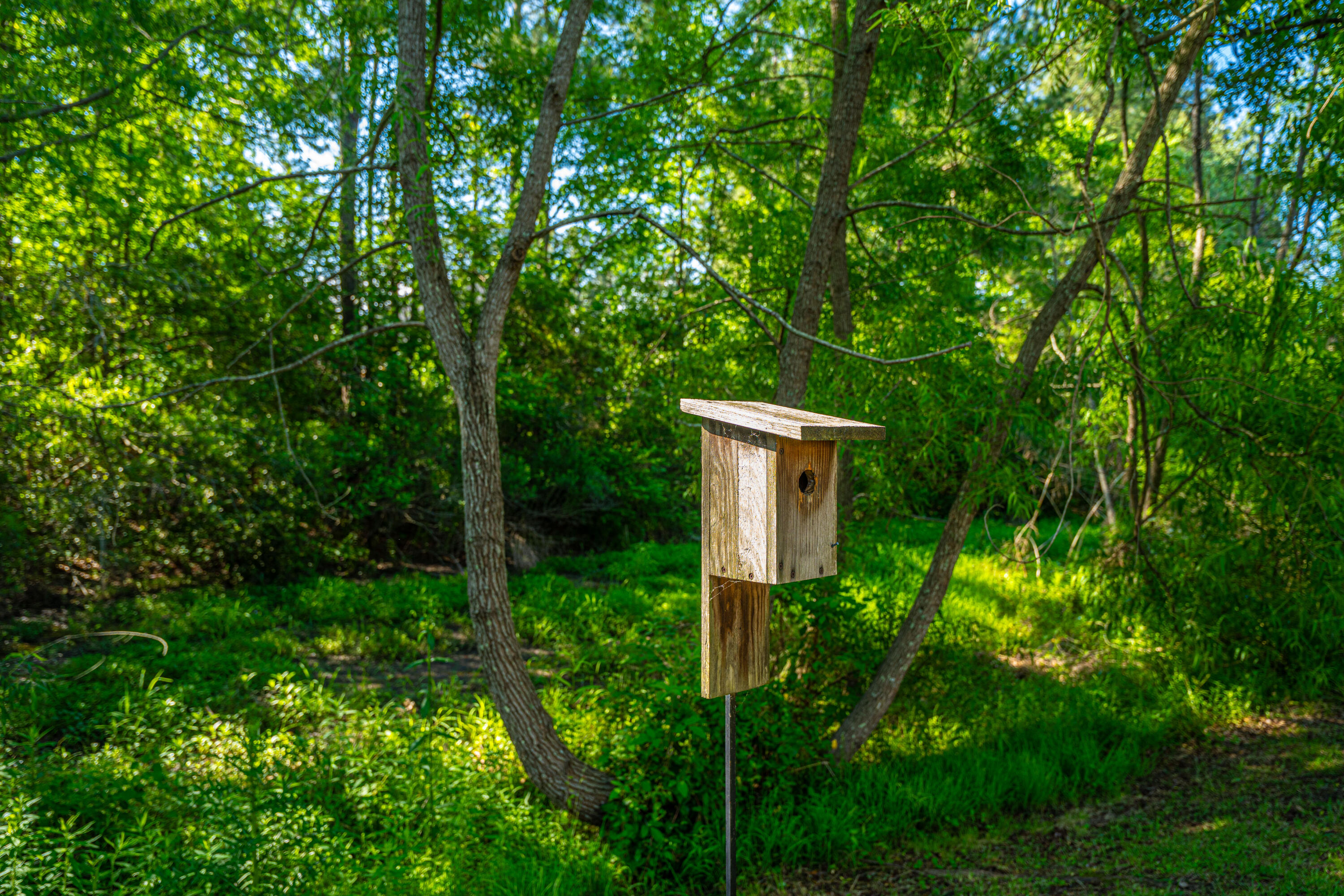 2314 Hummingbird Lane