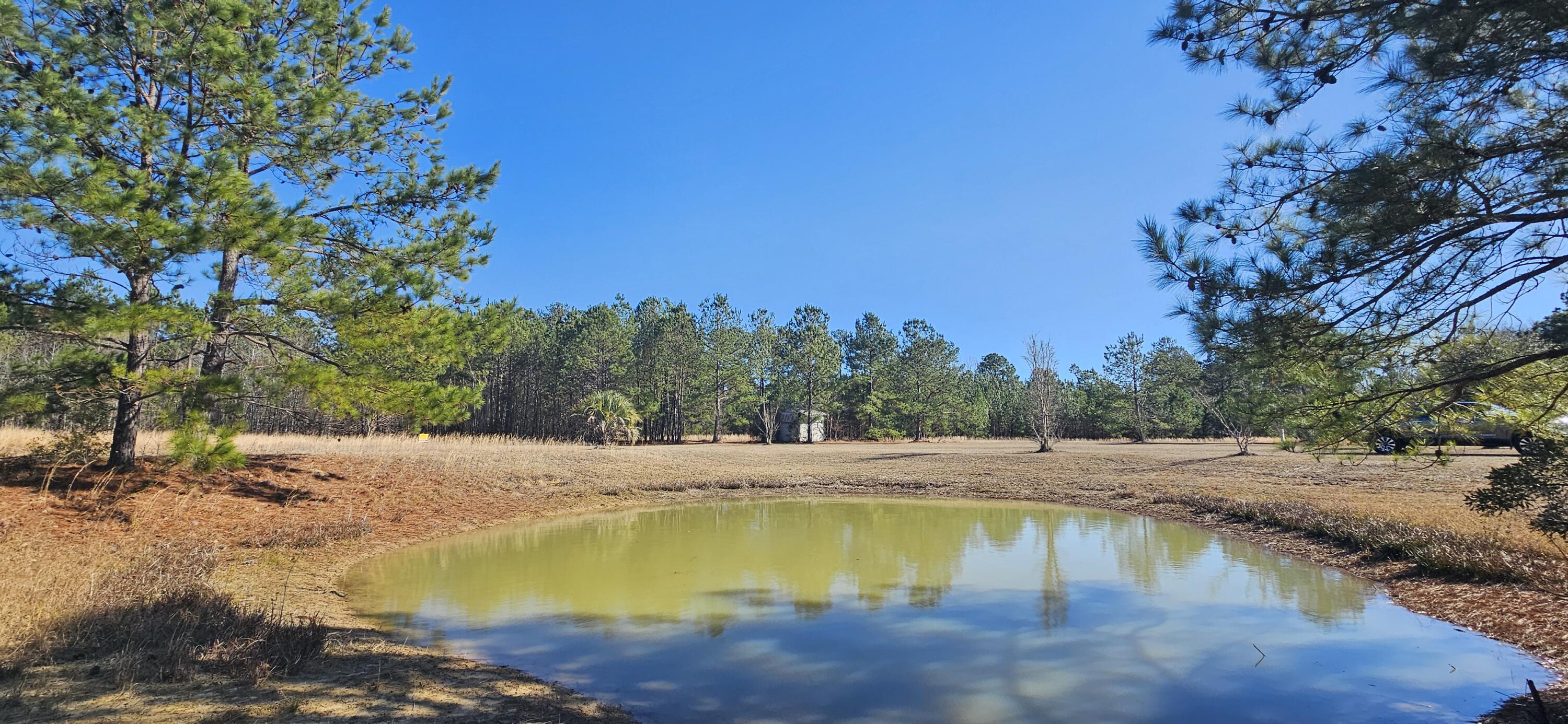 280 Royalegates Court