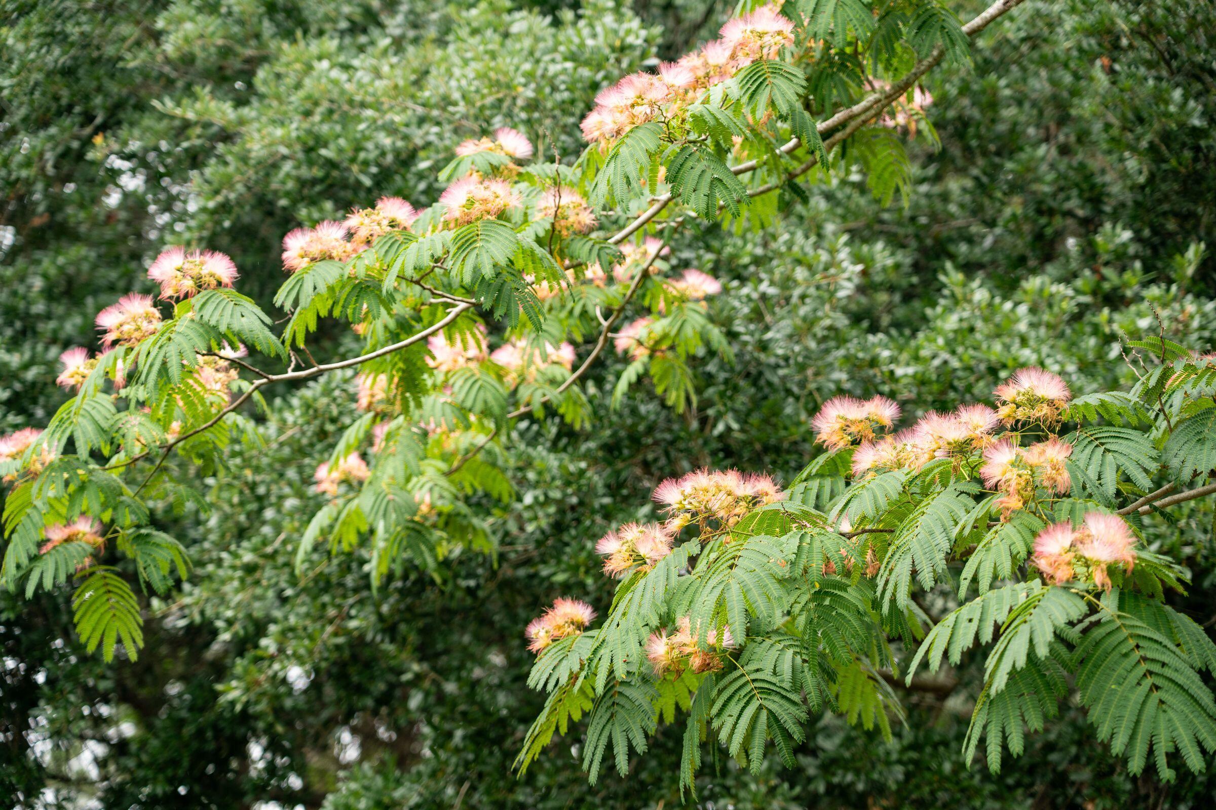 1077 Farmington Road