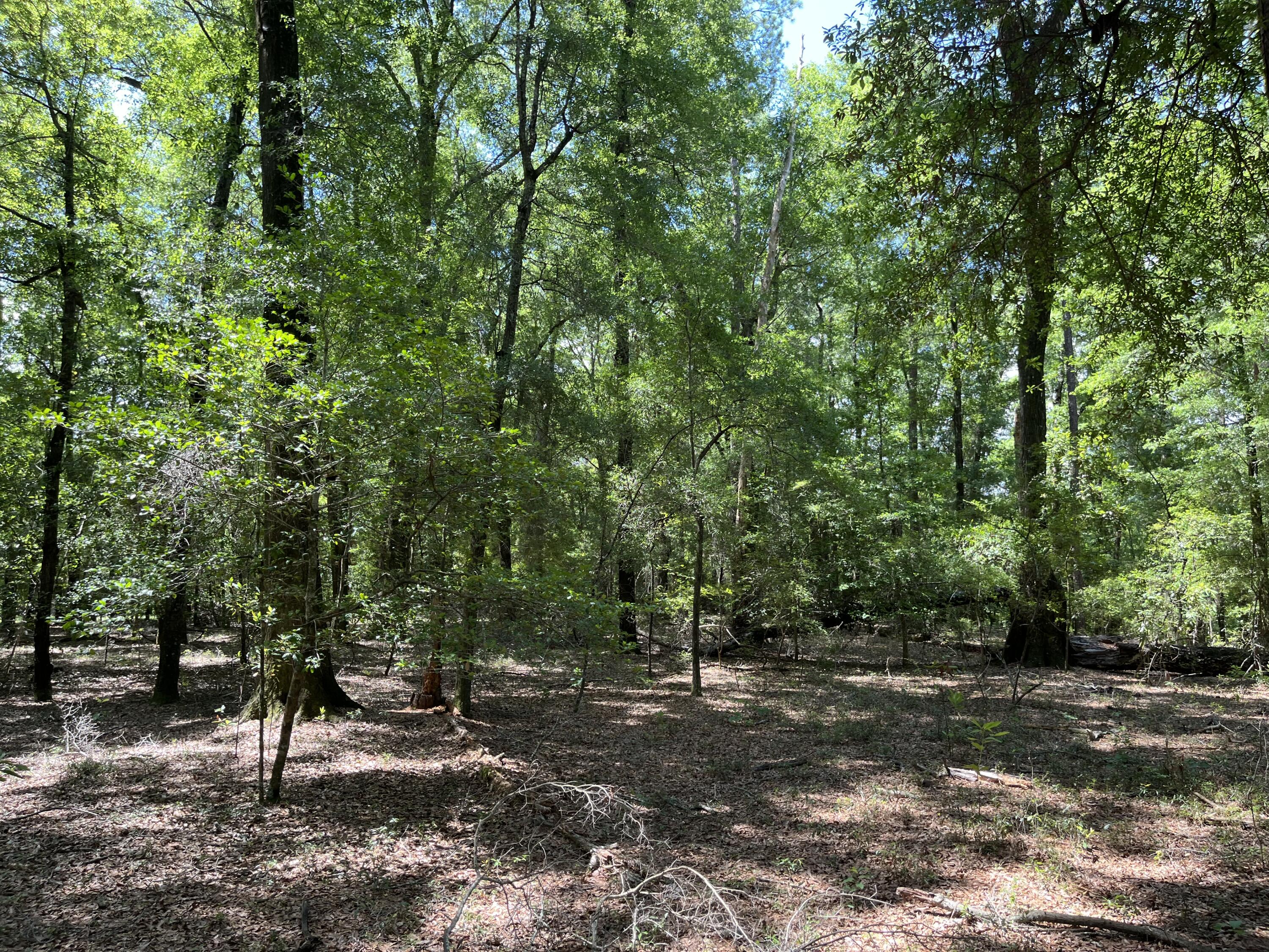 0-A Sniders Highway Interior