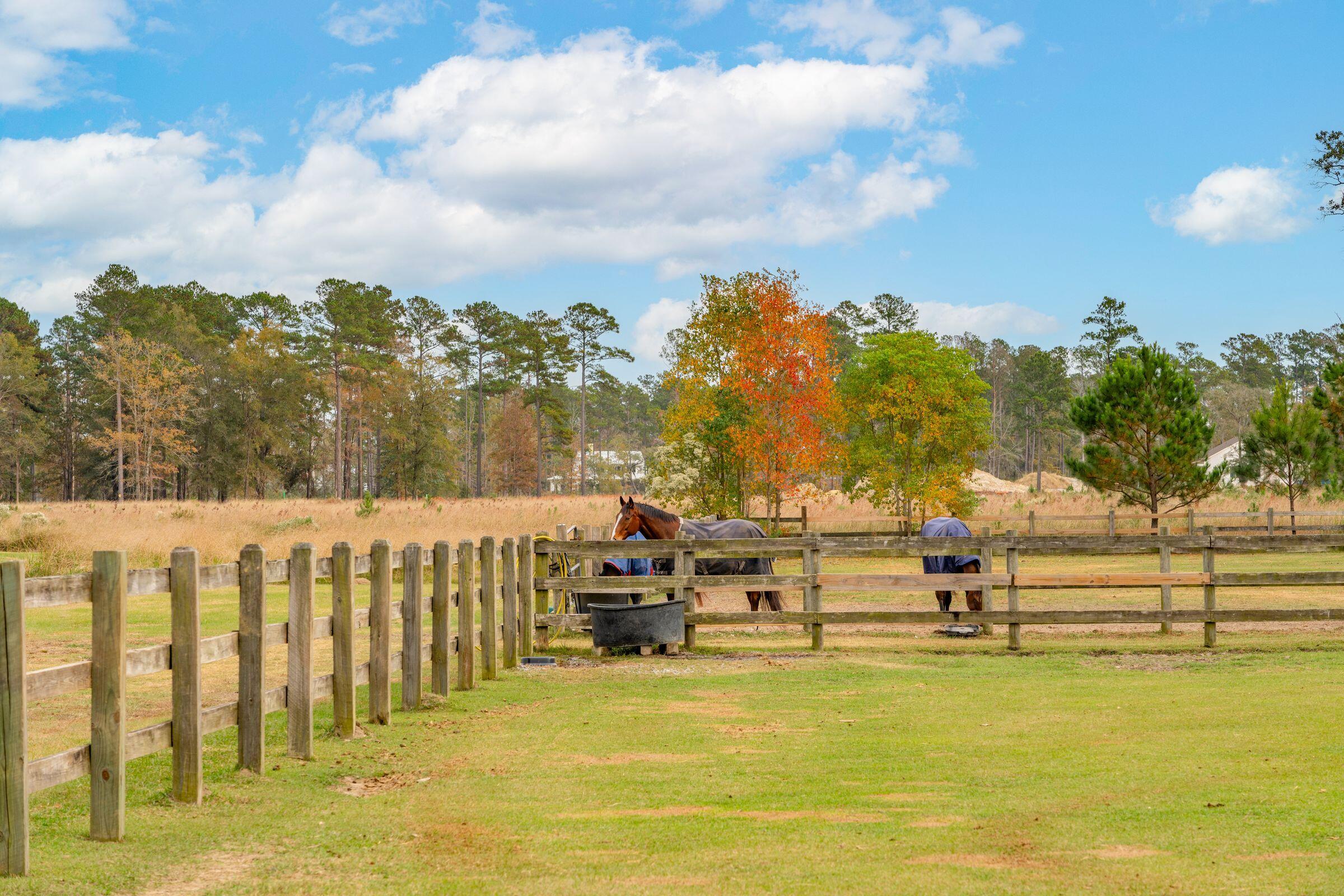 4215 Ten Shillings Way