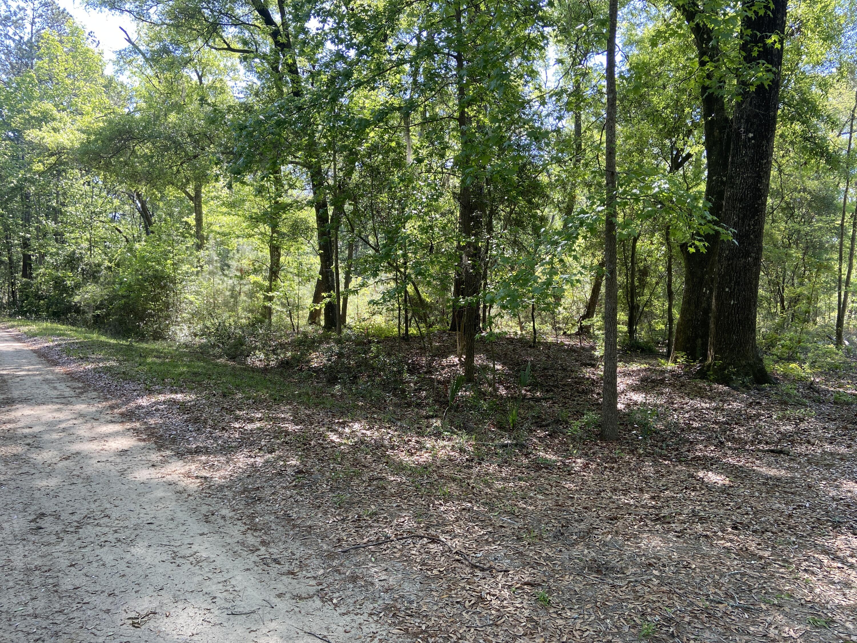 6079 Josie Ridge Road