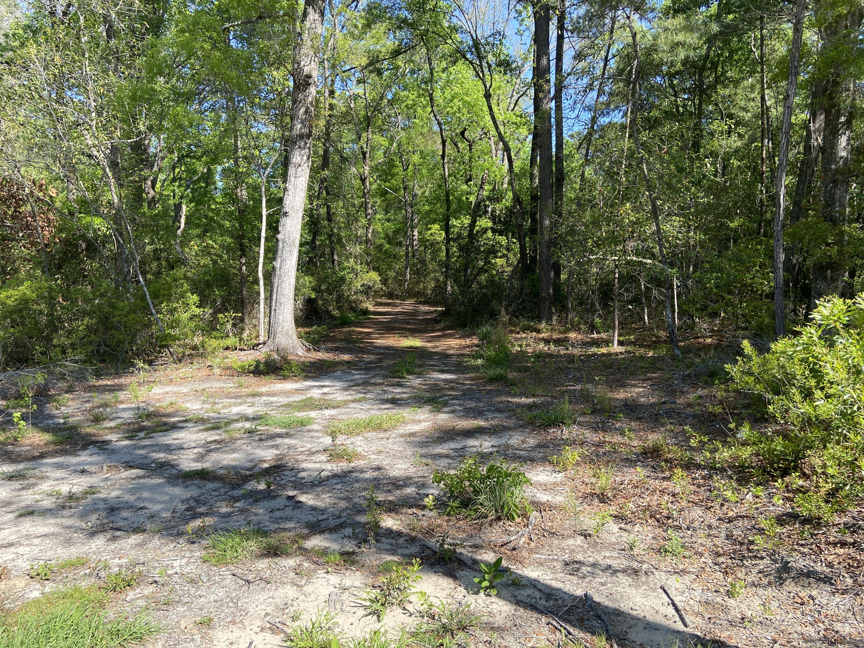 6079 Josie Ridge Road