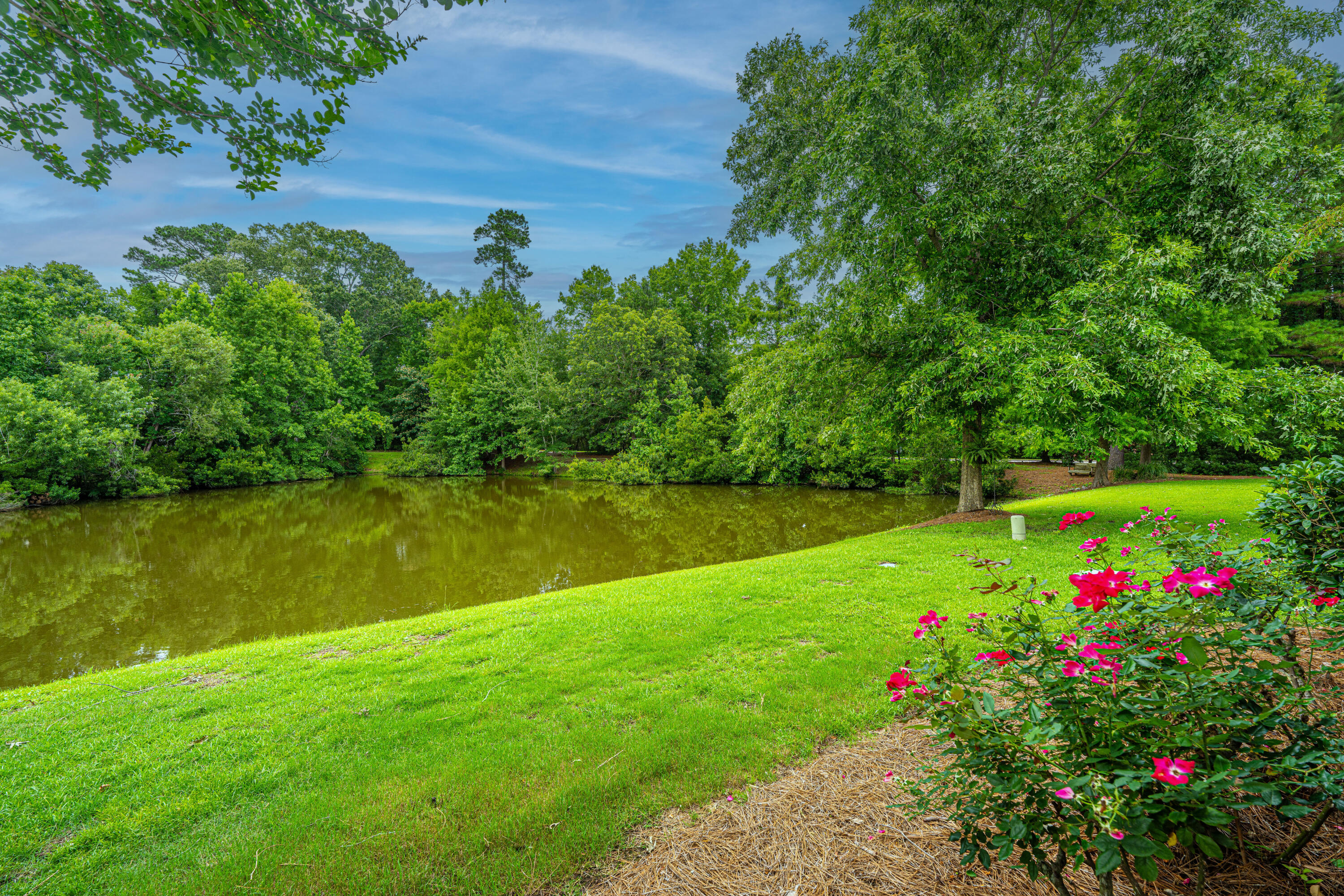 3012 Candela Grove Drive