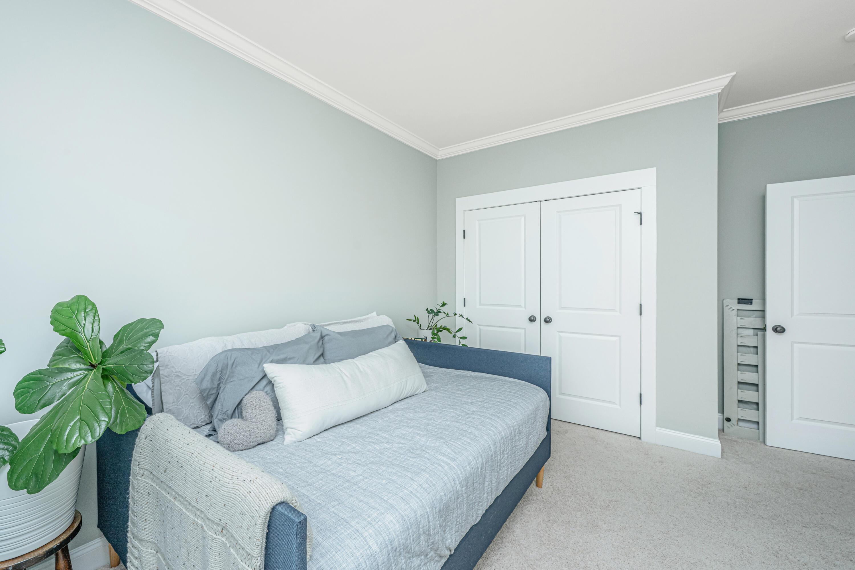 246 Slipper Shell Court