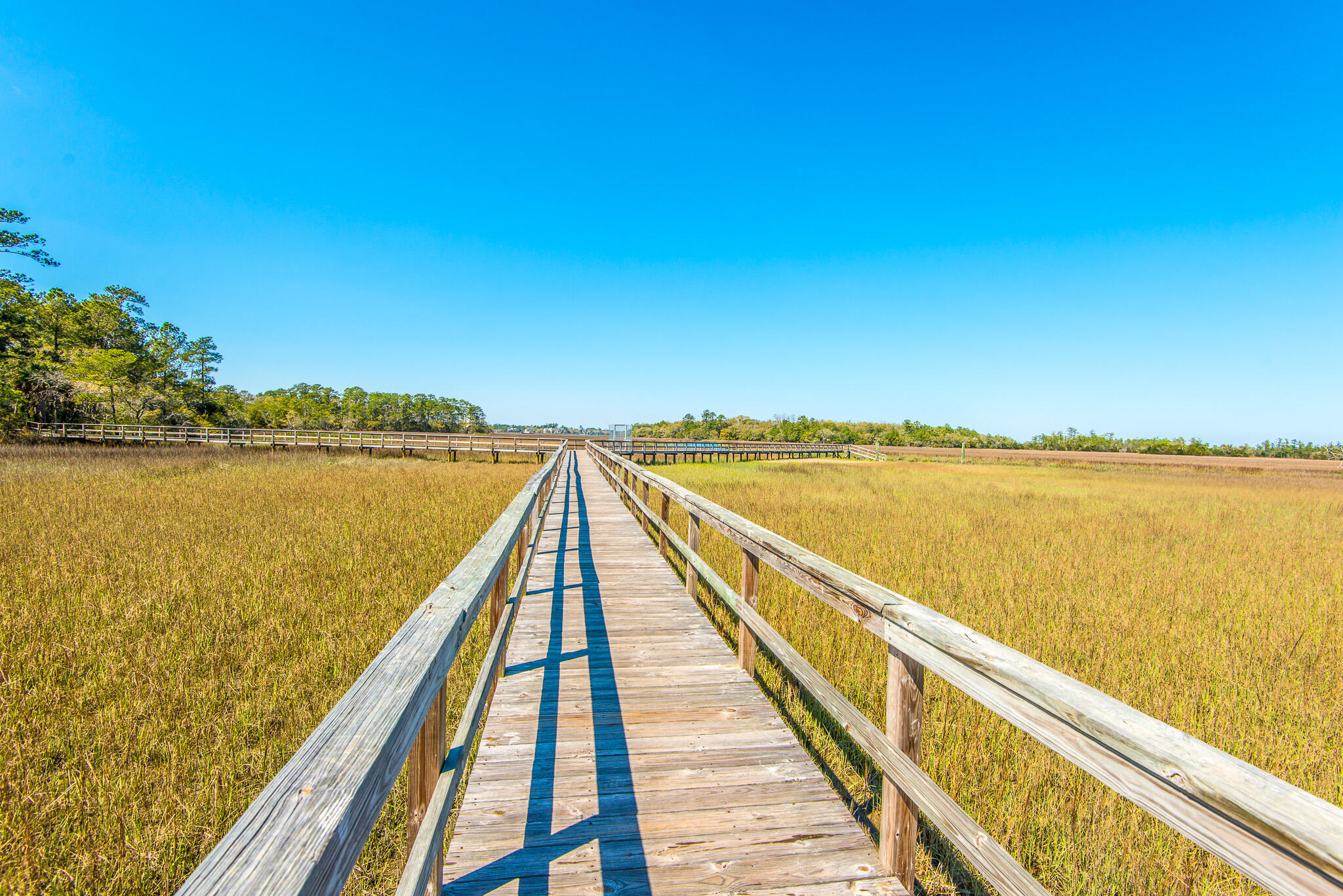 246 Slipper Shell Court