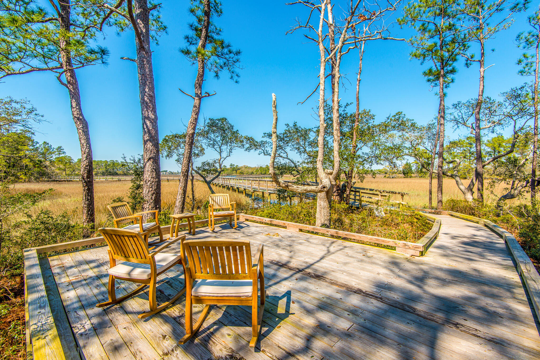 246 Slipper Shell Court