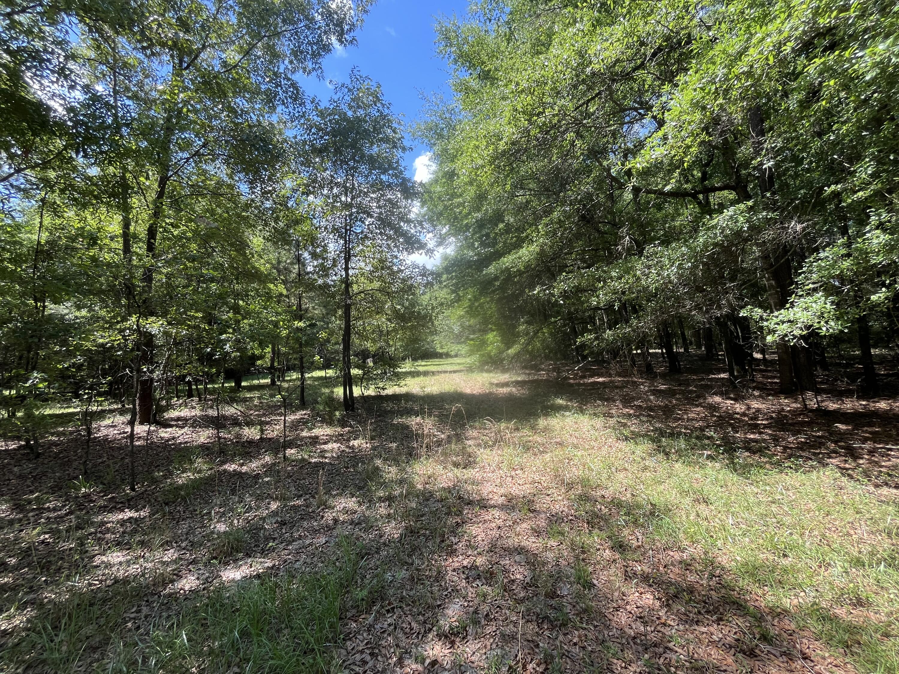 O Cobb Ct Interior Parcel