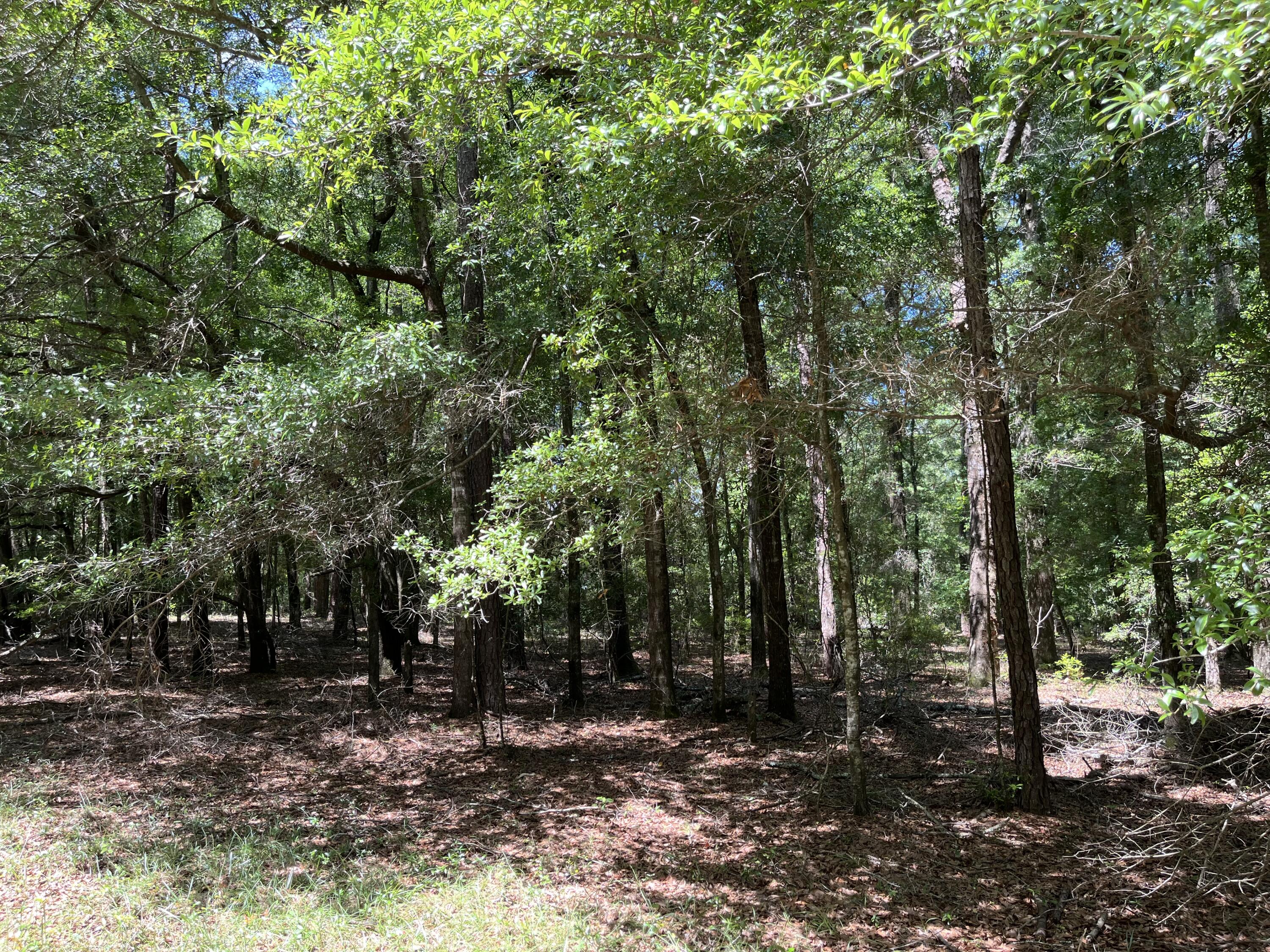 O Cobb Ct Interior Parcel