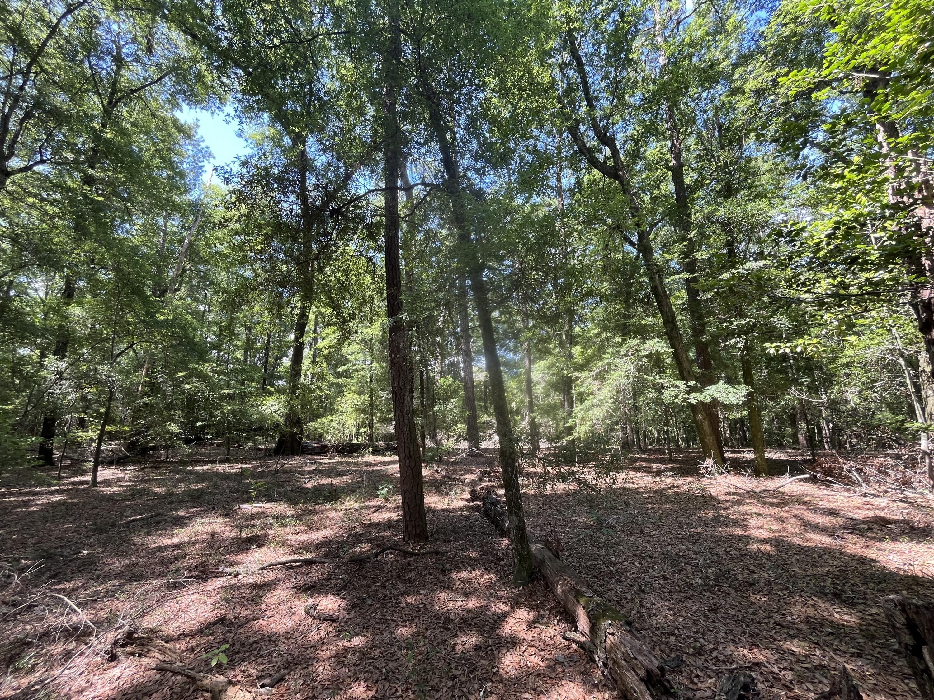 O Cobb Ct Interior Parcel