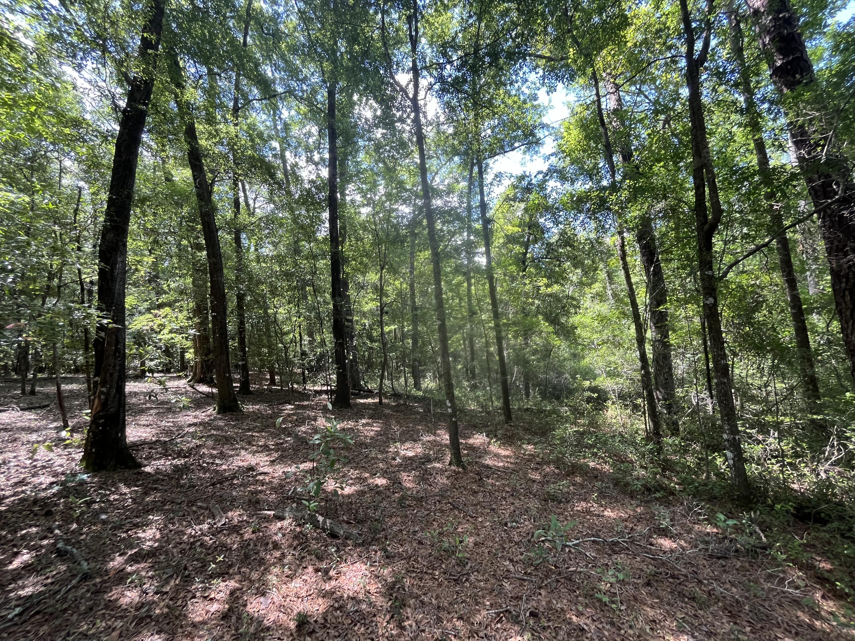 O Cobb Ct Interior Parcel