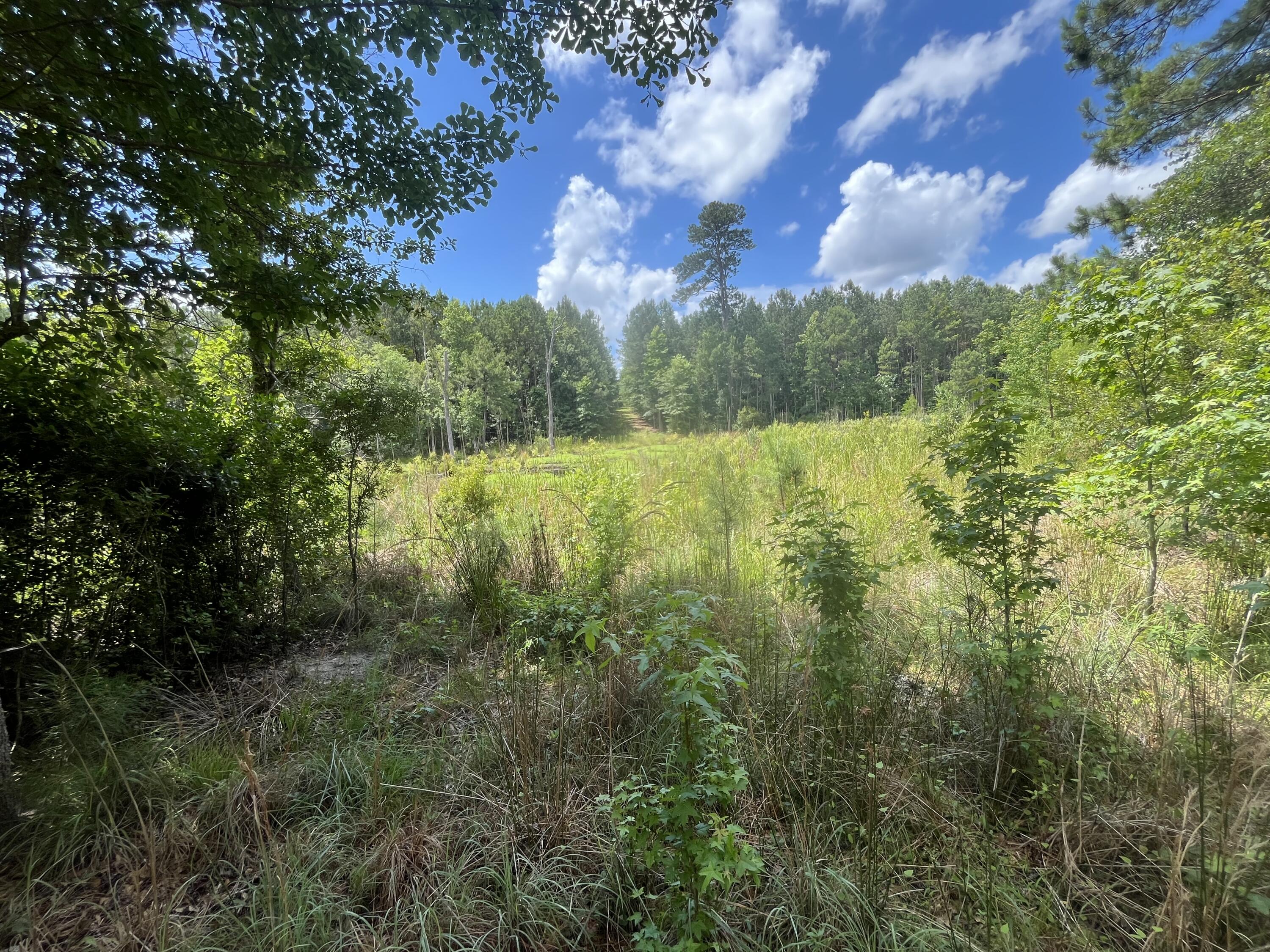 O Cobb Ct Interior Parcel
