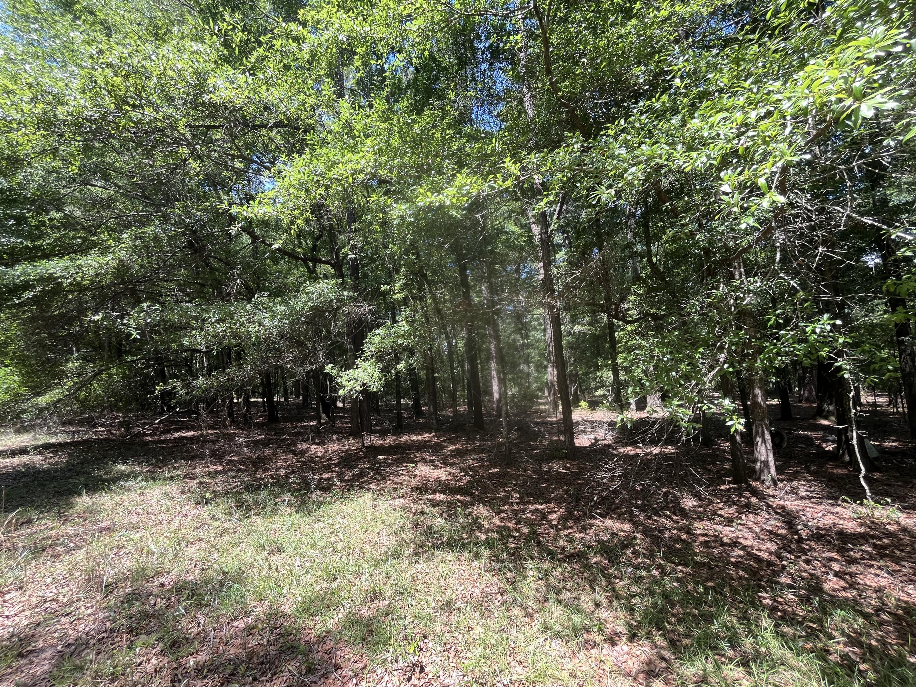 O Cobb Ct Interior Parcel