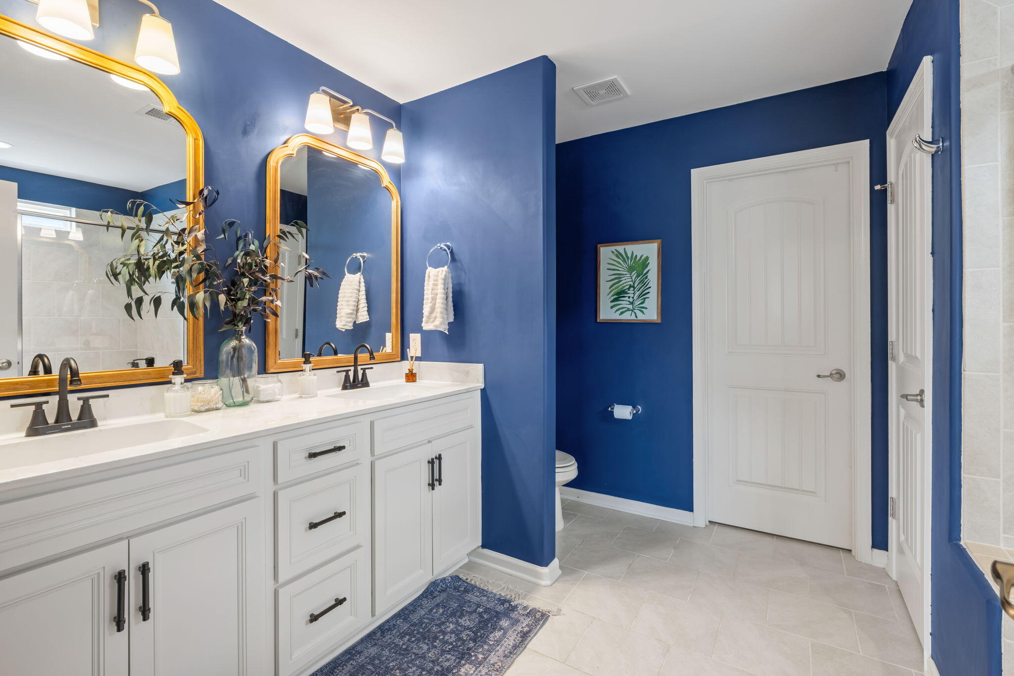 423 Sanctuary Park Drive