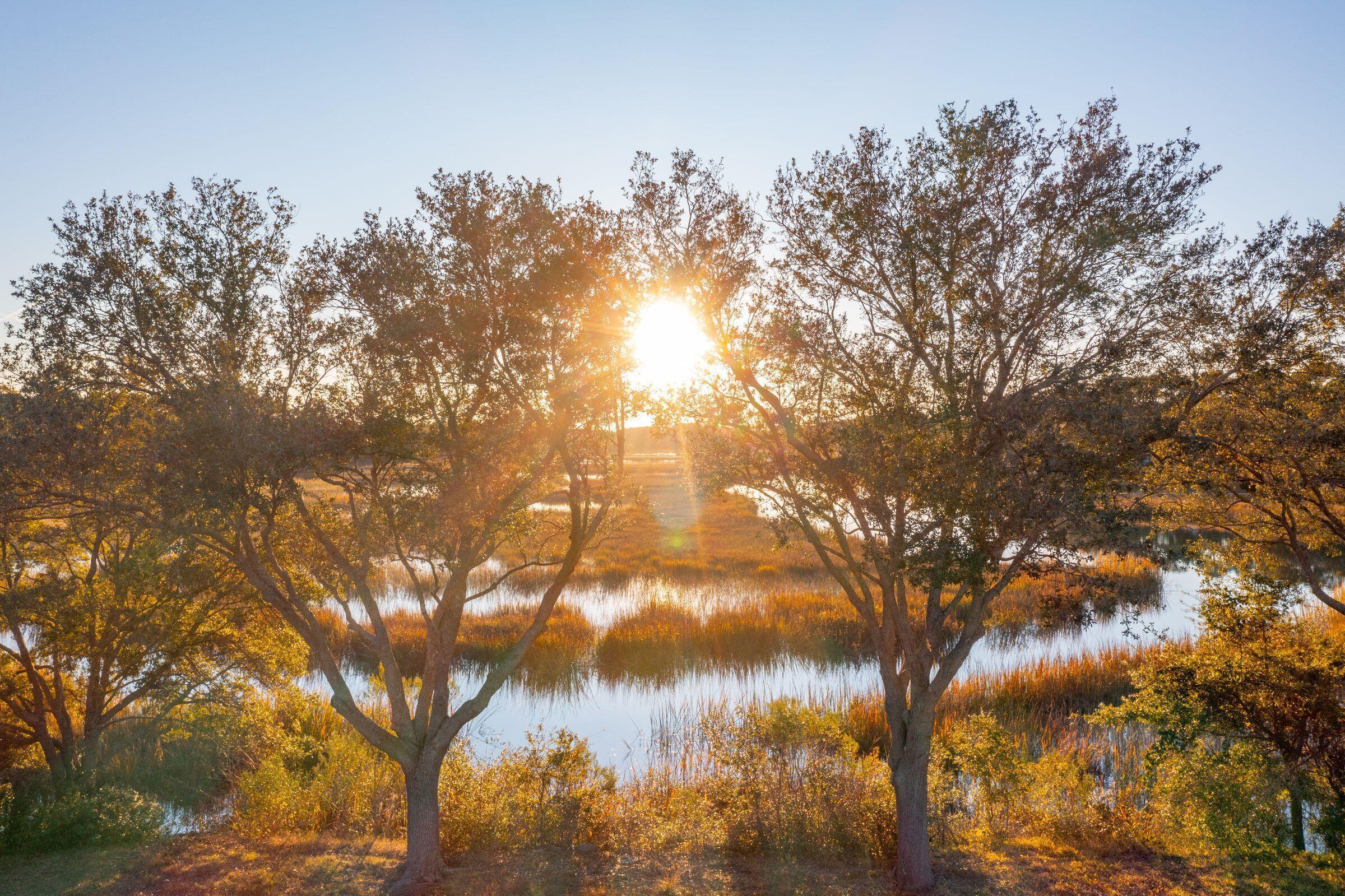826 Curved Creek Court