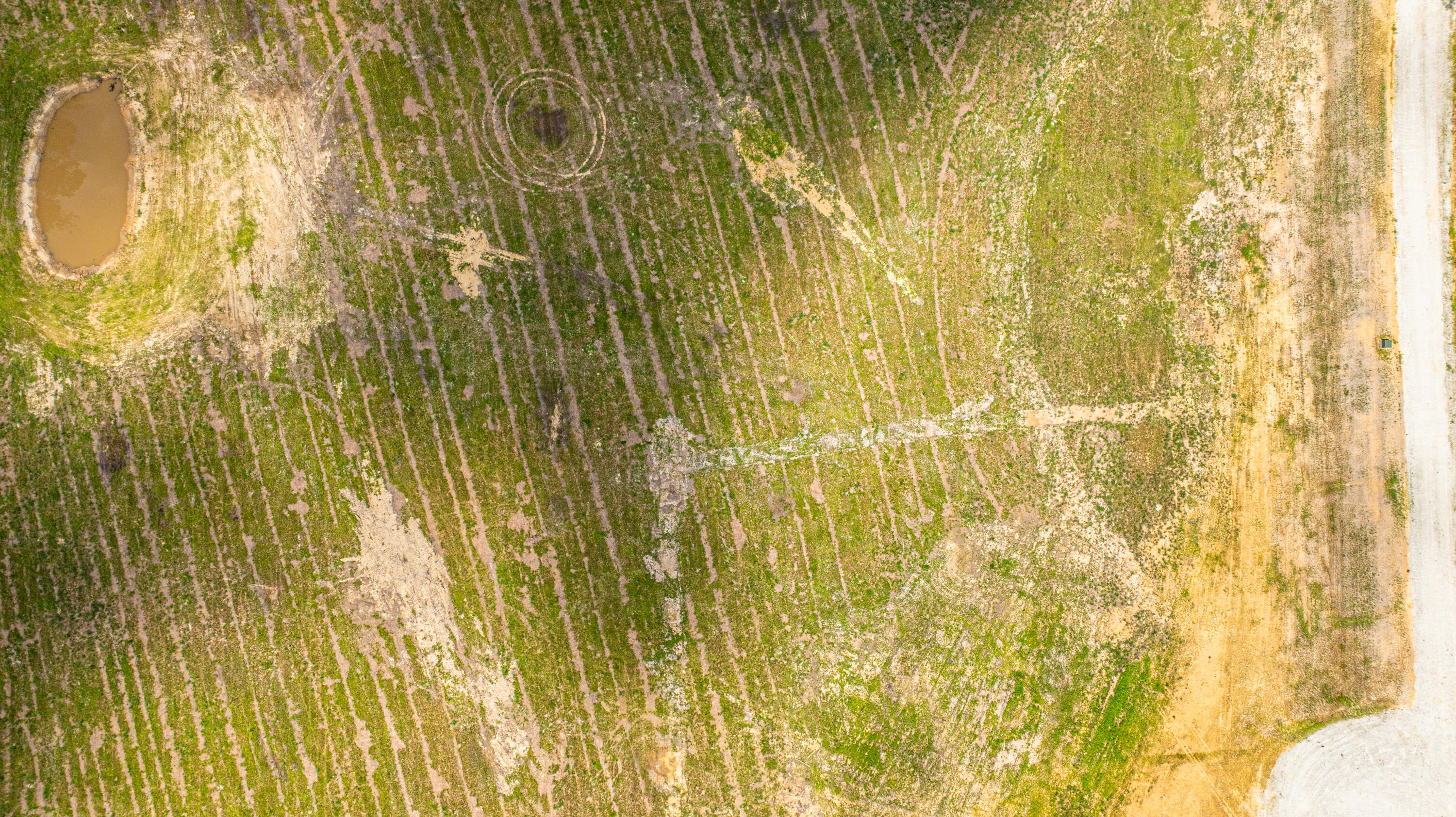 006 Southern Acres Lane