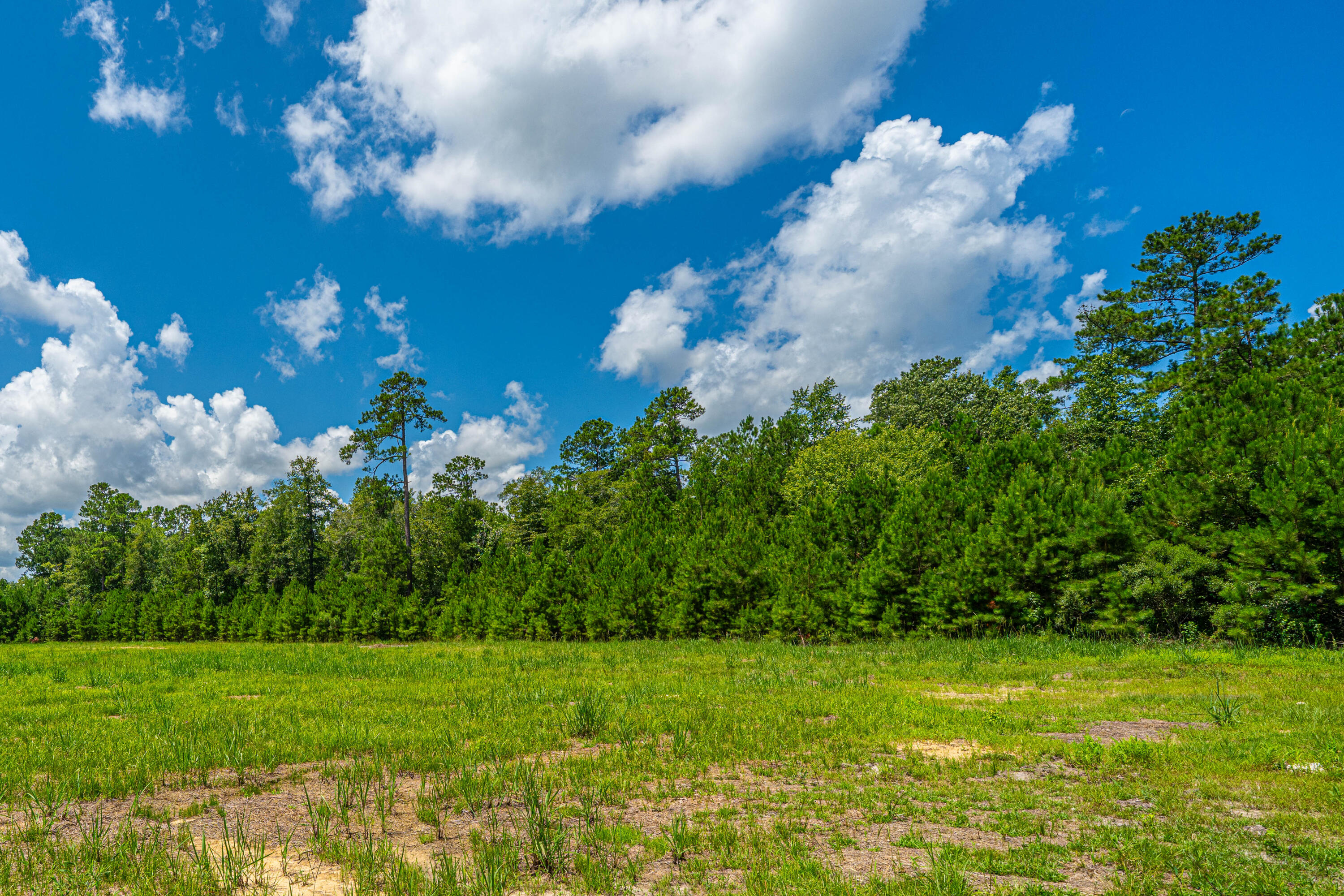 007 Southern Acres Lane