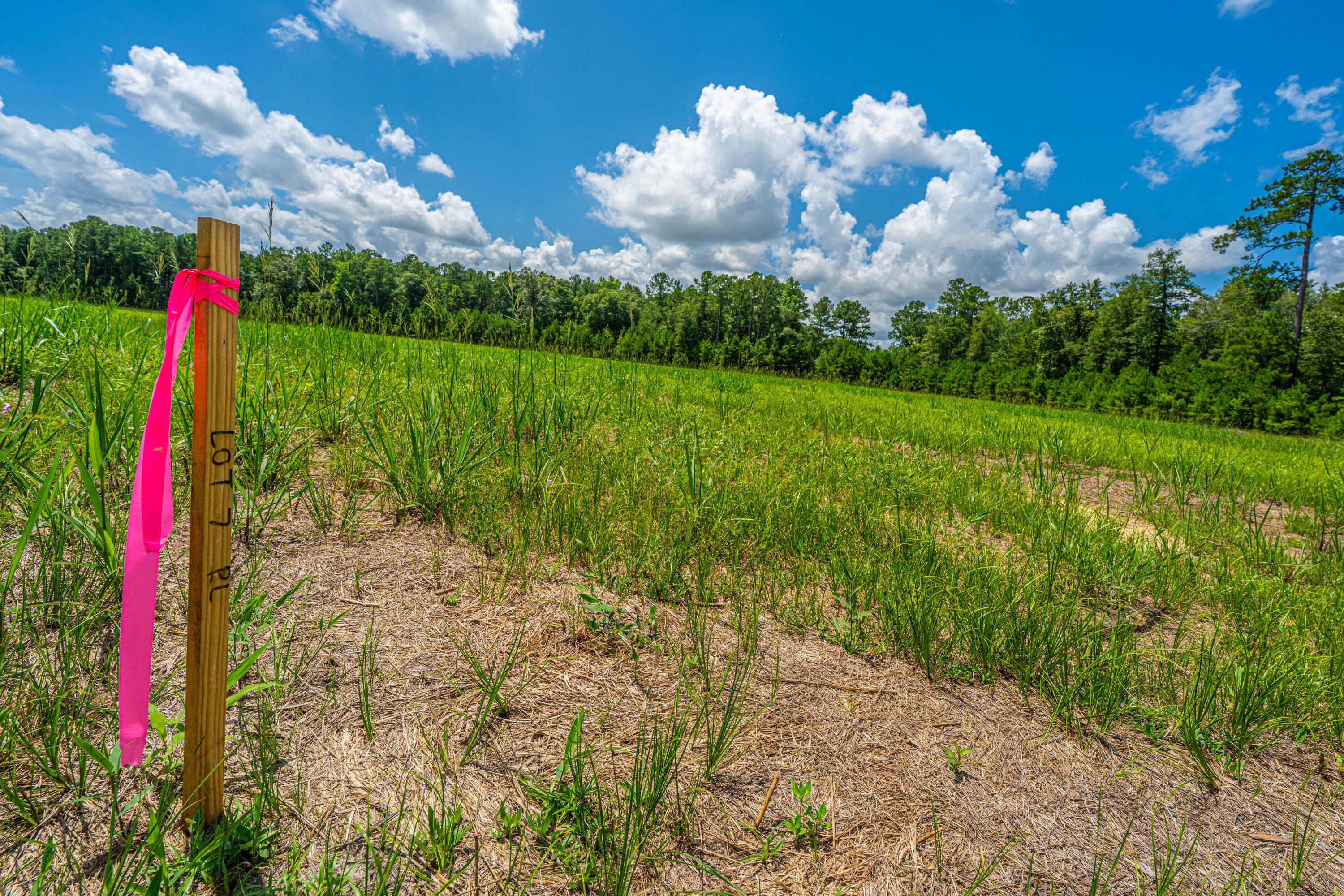 007 Southern Acres Lane