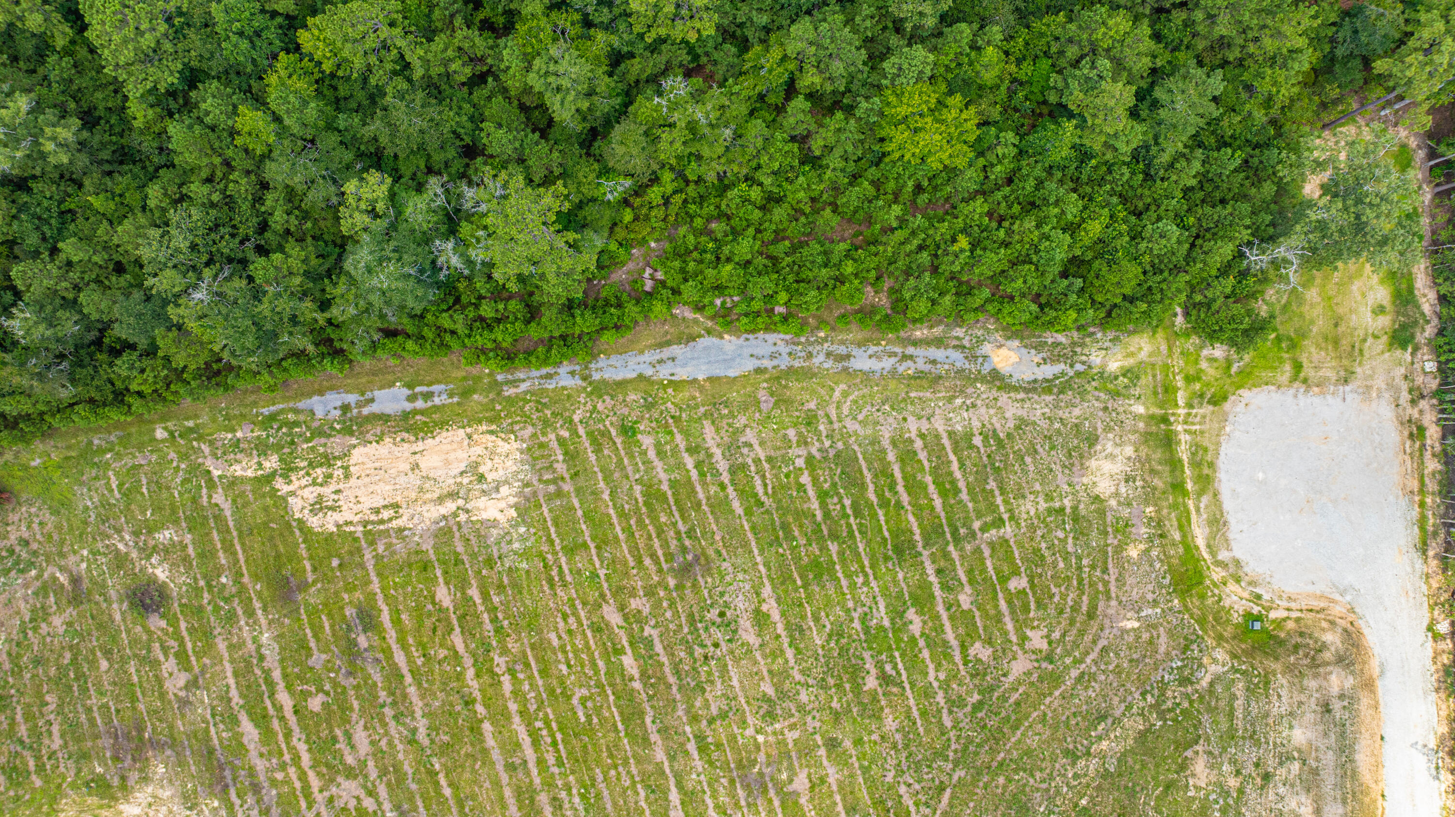 007 Southern Acres Lane