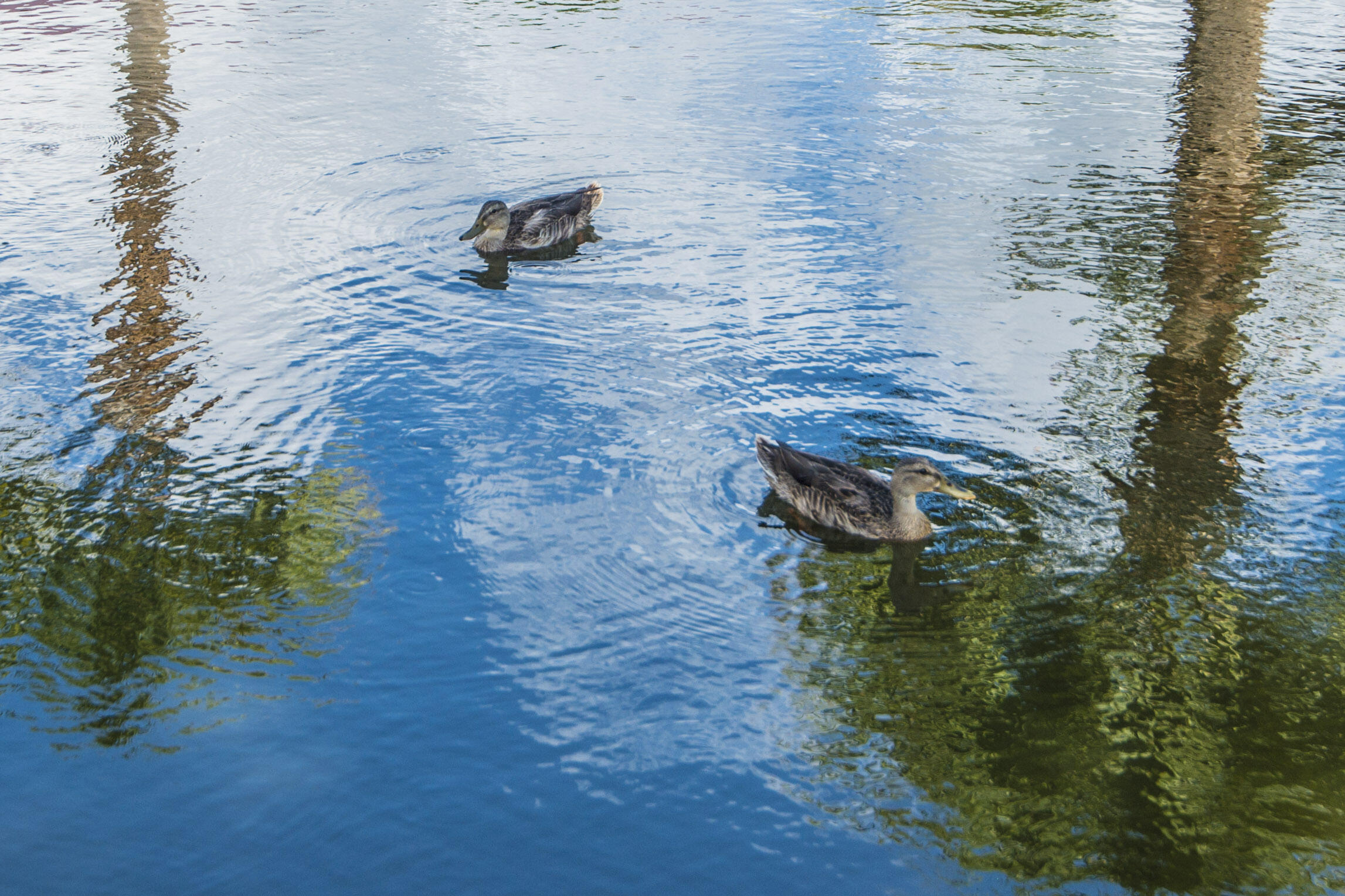 152 W Mariners Cay Drive # 152