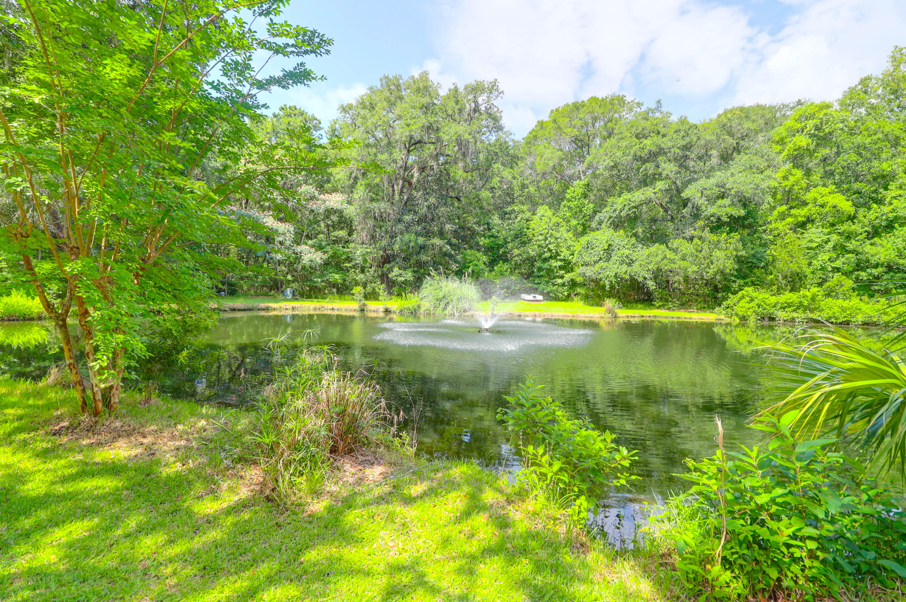 2494 Cape Road