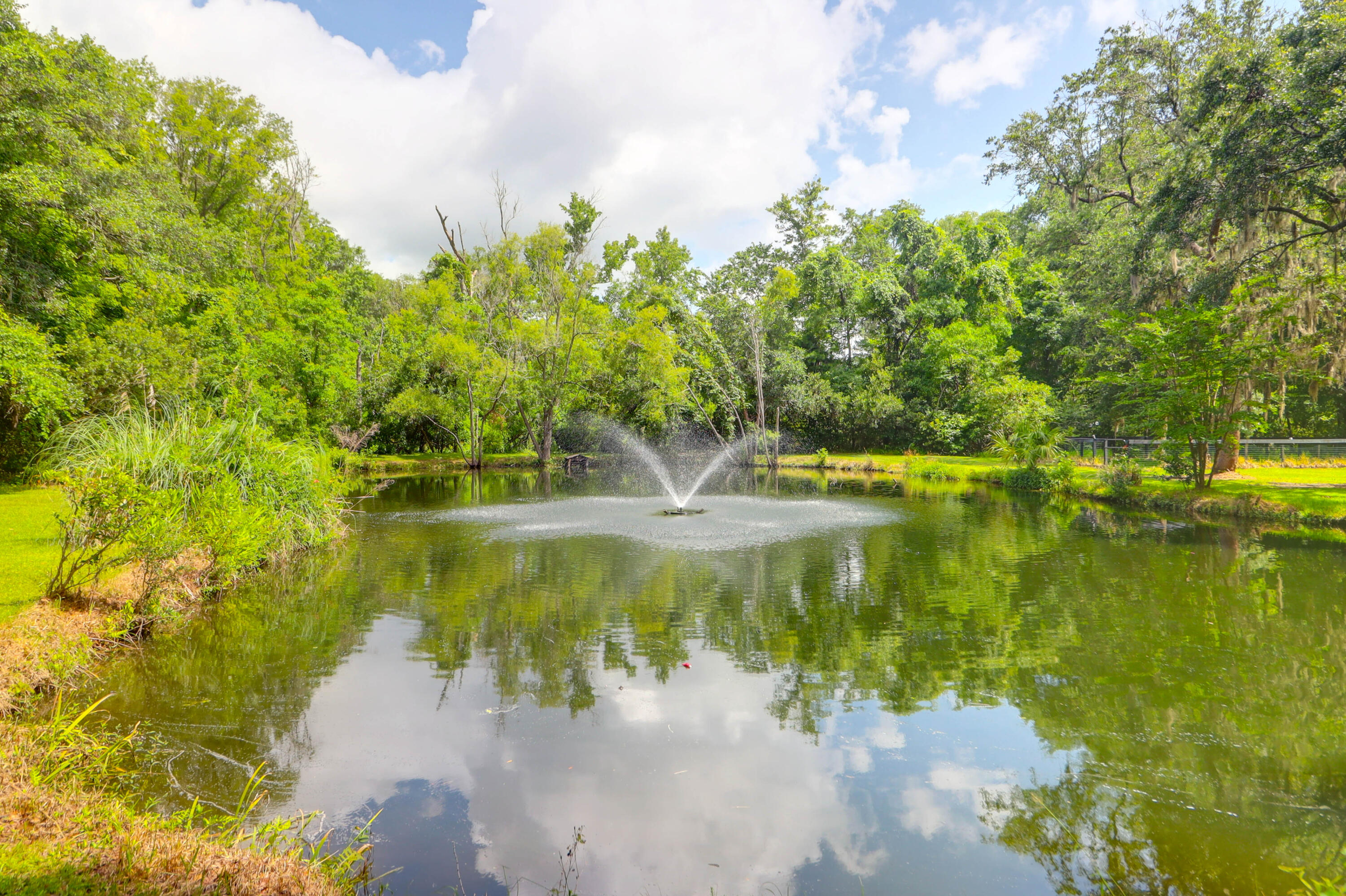 2494 Cape Road
