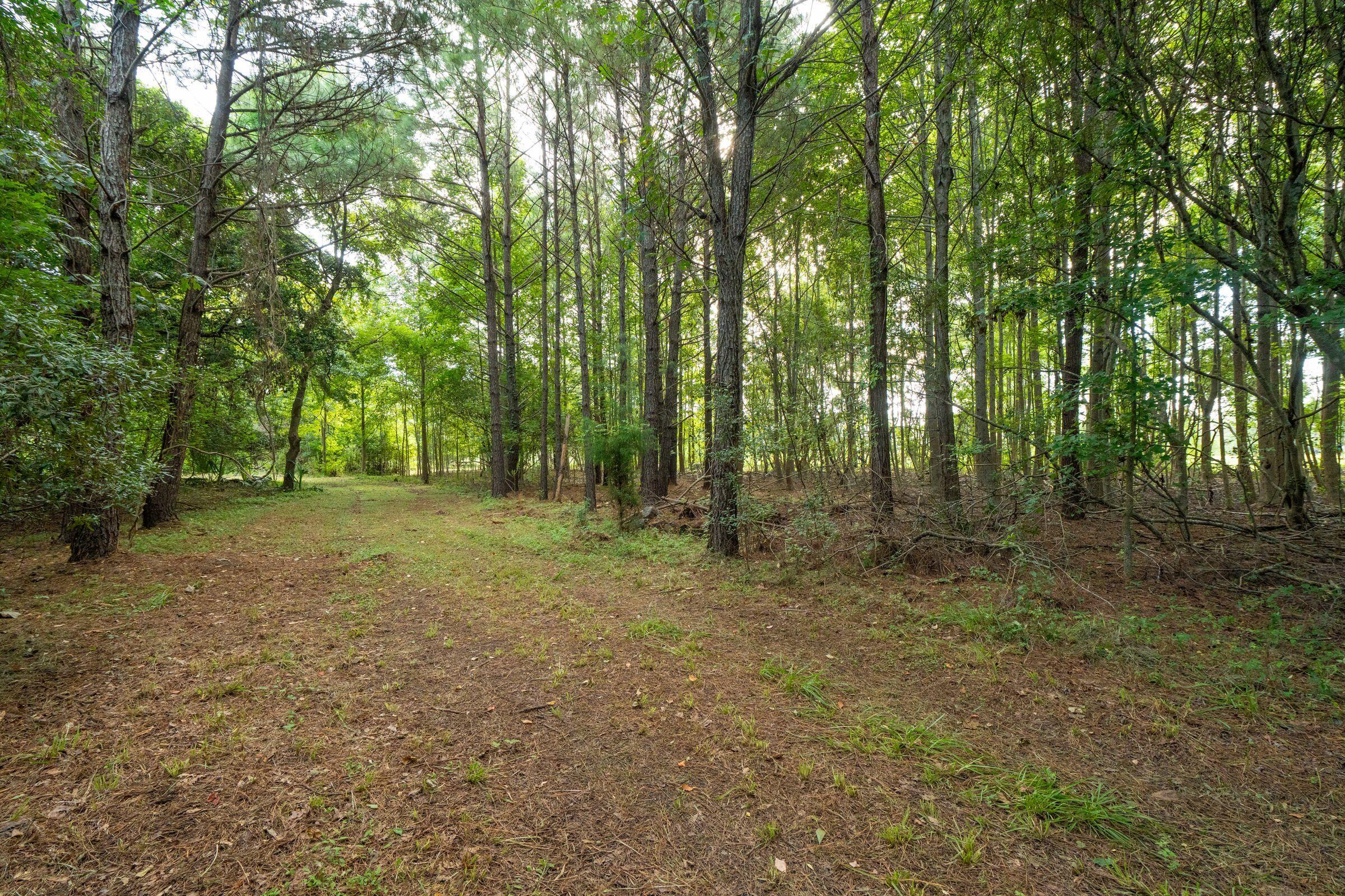 6412 China Back Lane