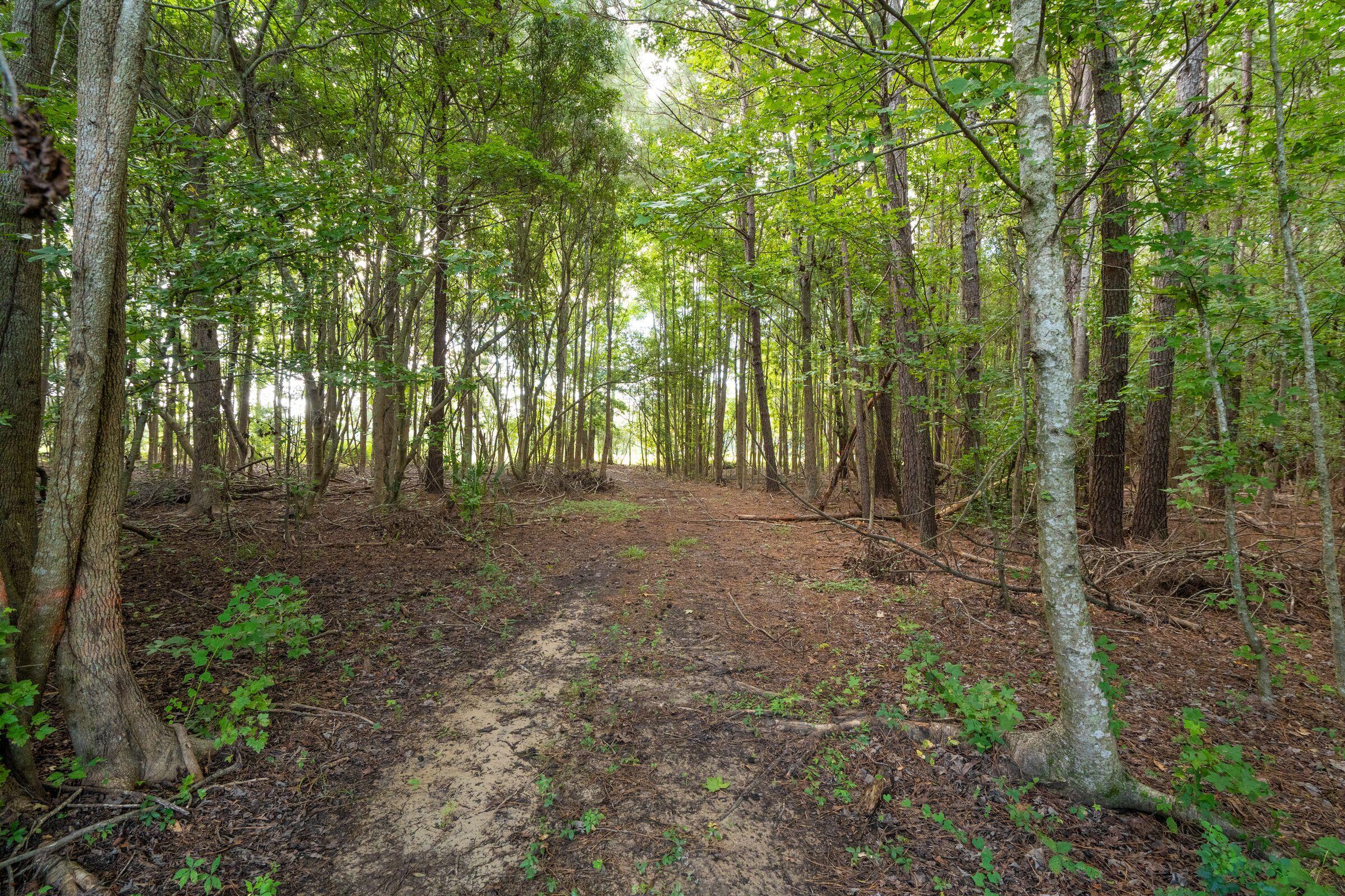 6412 China Back Lane