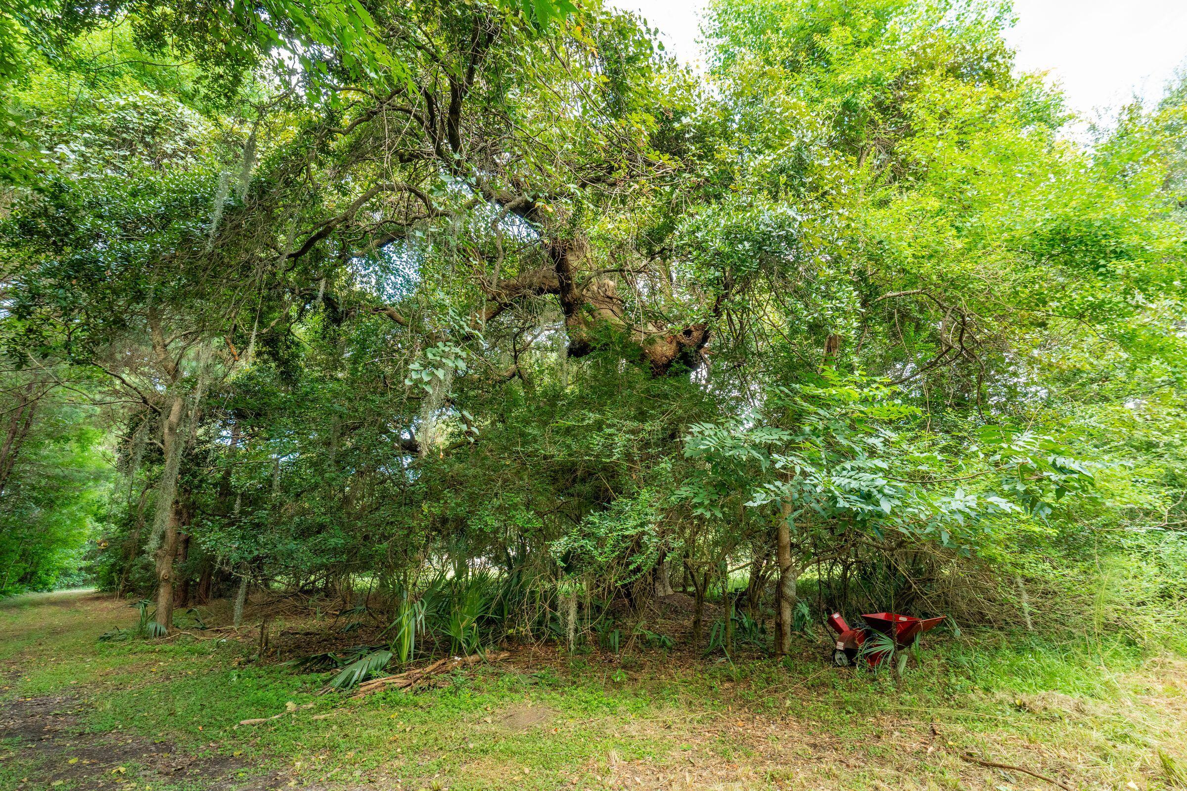 6412 China Back Lane