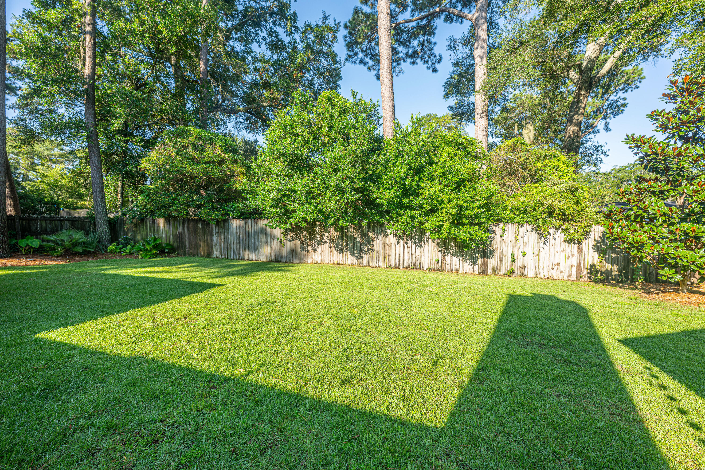 649 Mccutchen Street