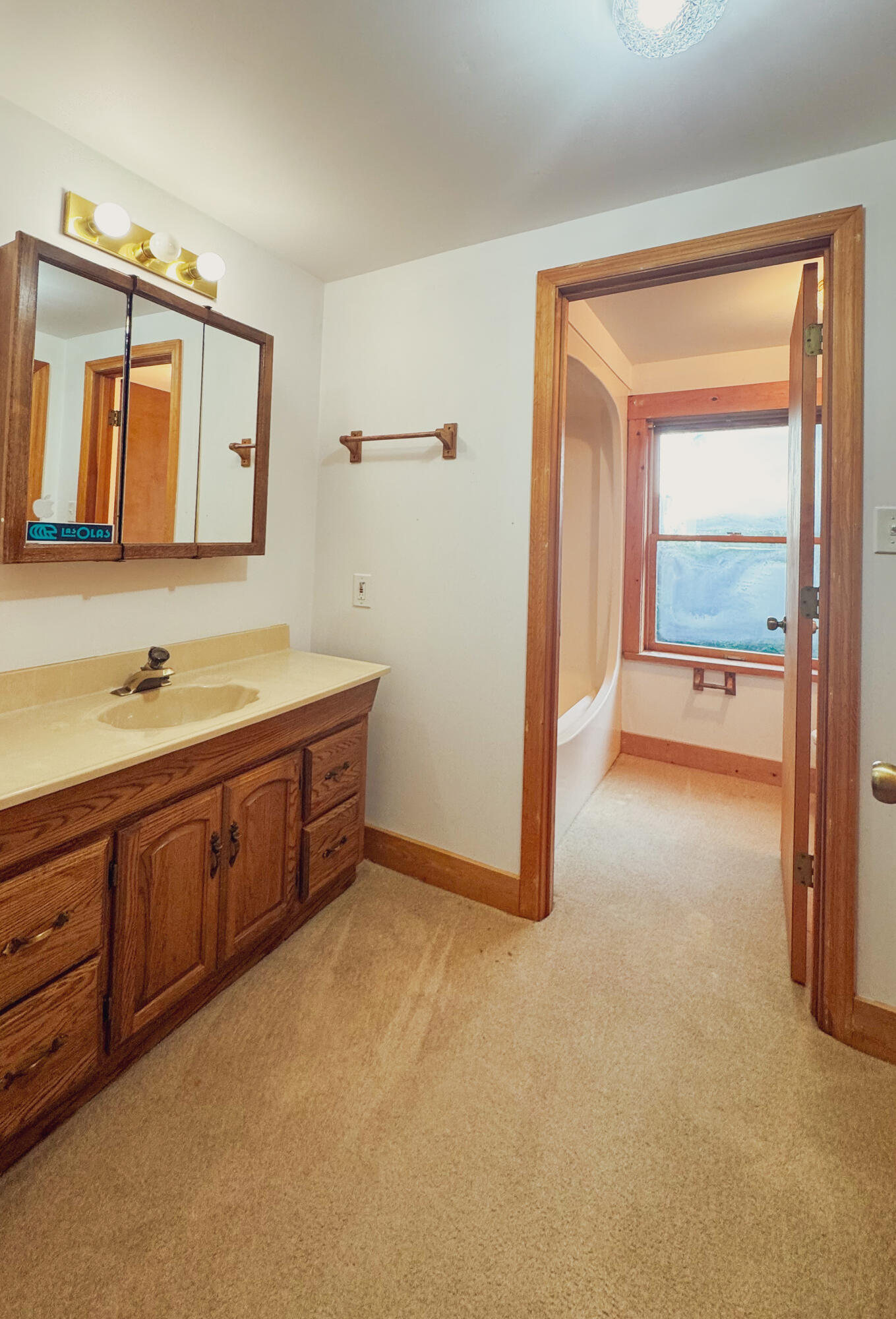 1509 W Palmetto Fort Drive