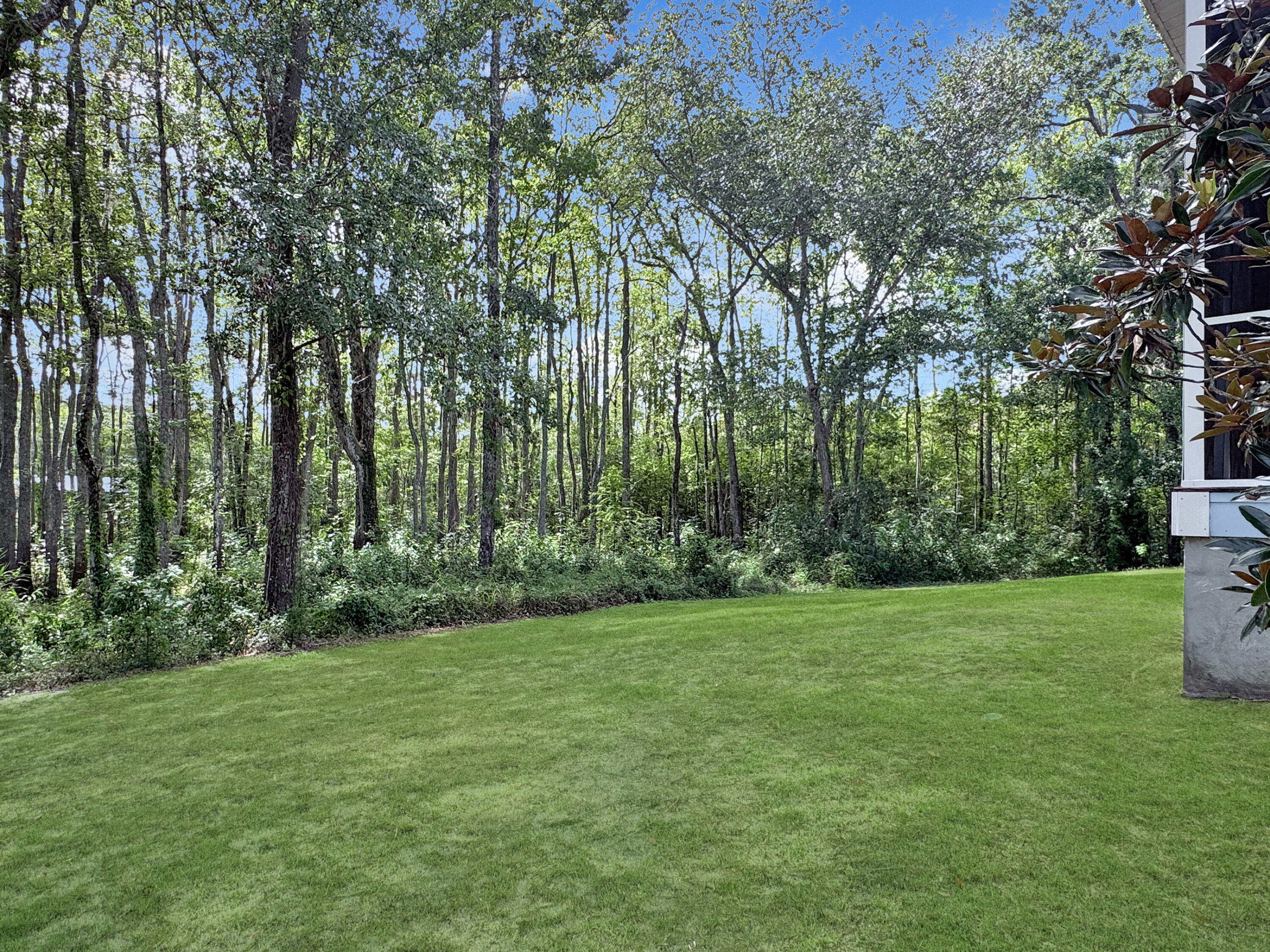 243 Belladonna Court