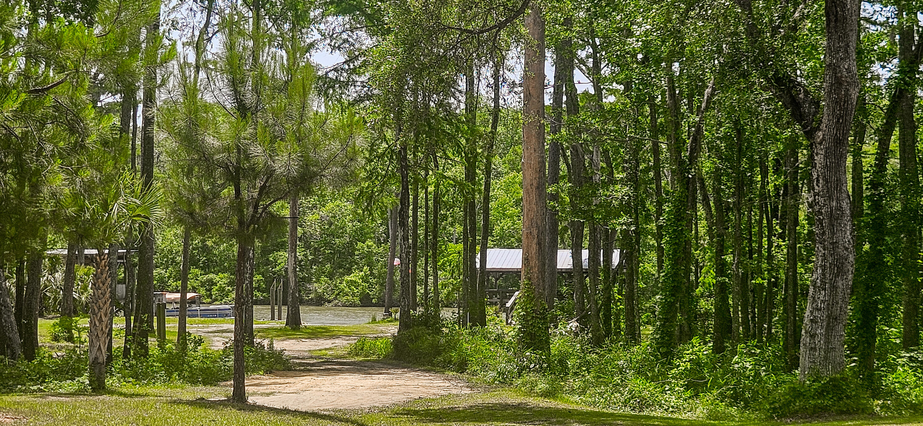 243 Belladonna Court