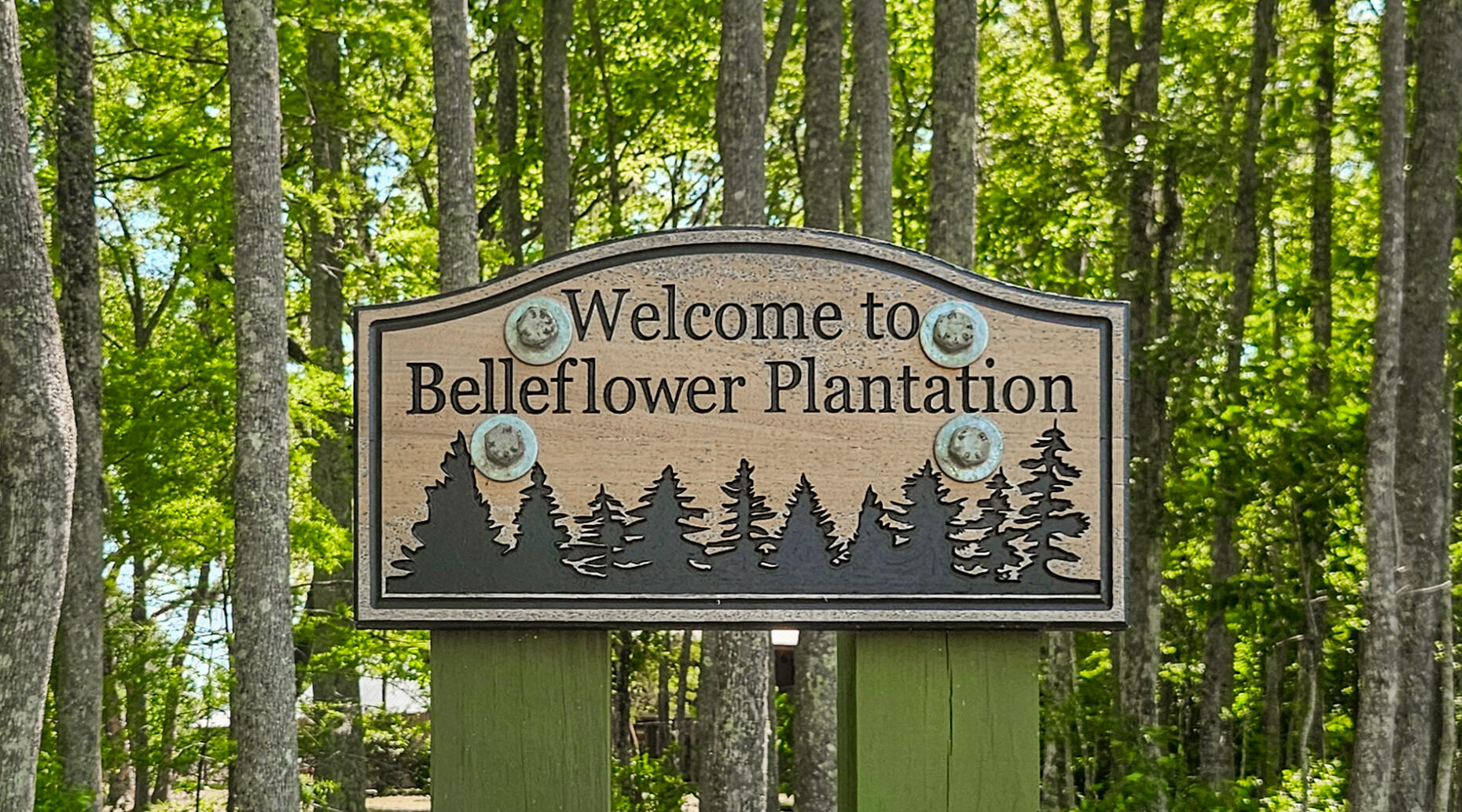 243 Belladonna Court