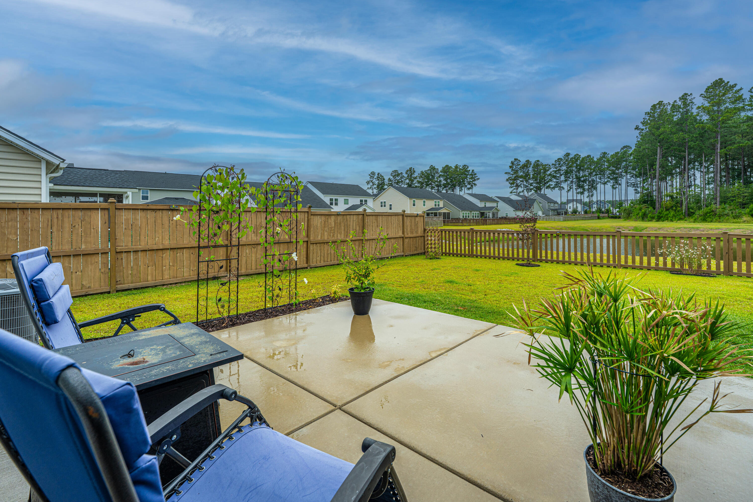 231 Narrowleaf Avenue