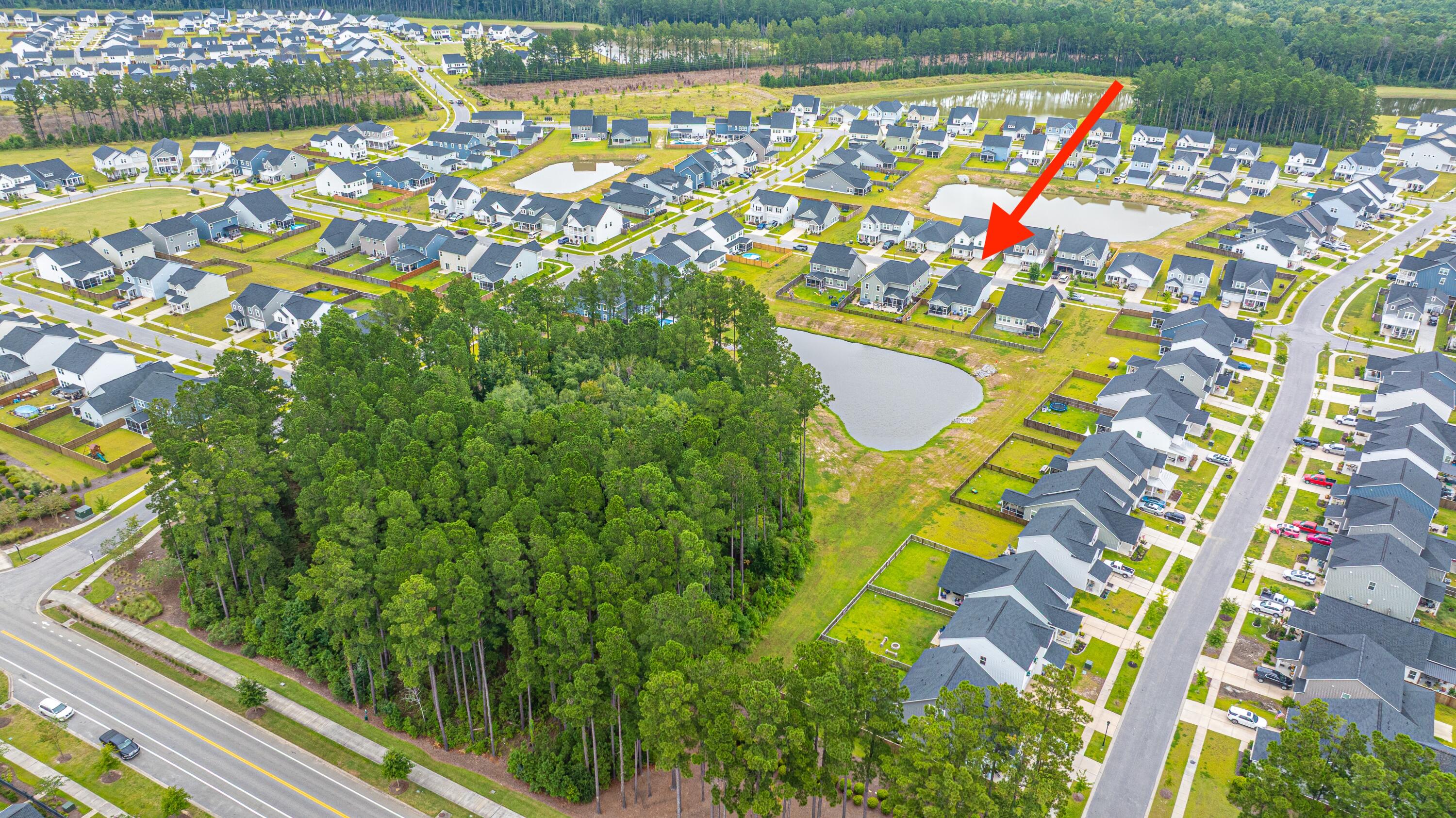 231 Narrowleaf Avenue