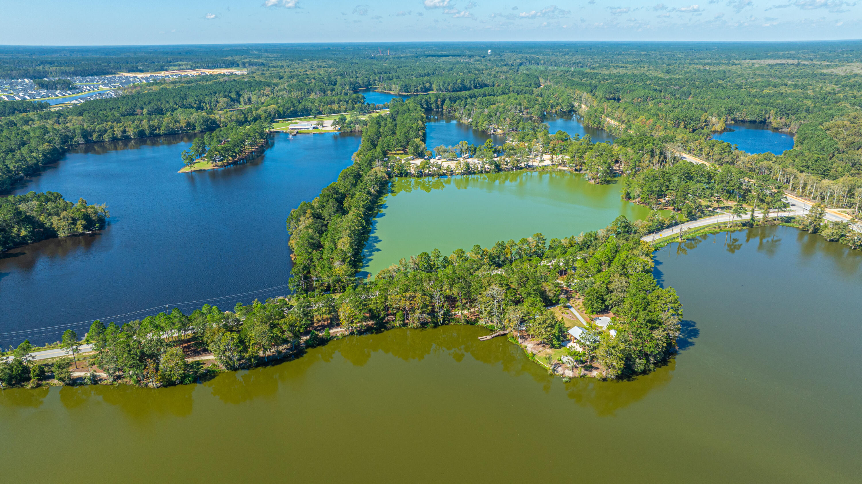 231 Narrowleaf Avenue