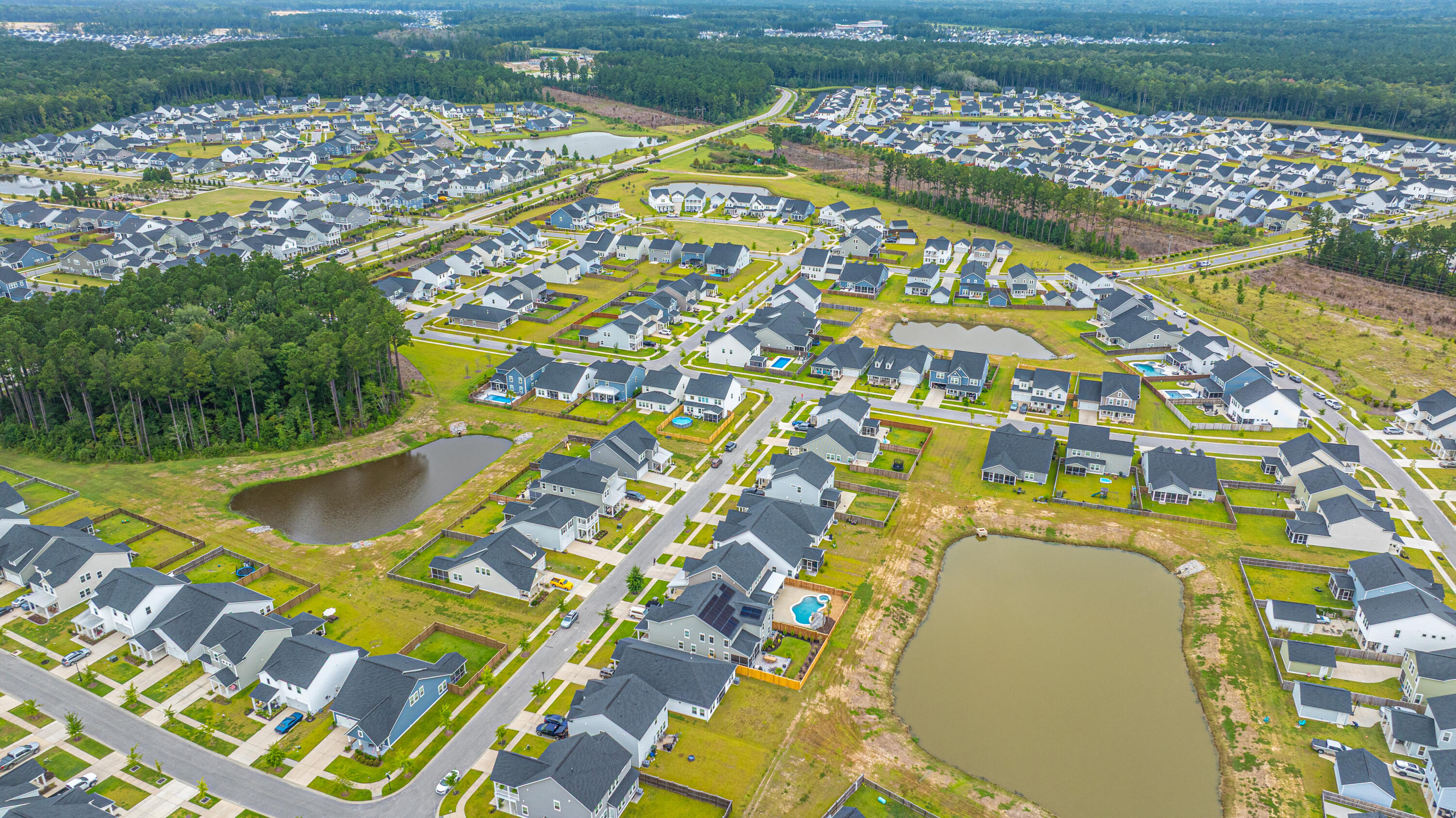 231 Narrowleaf Avenue