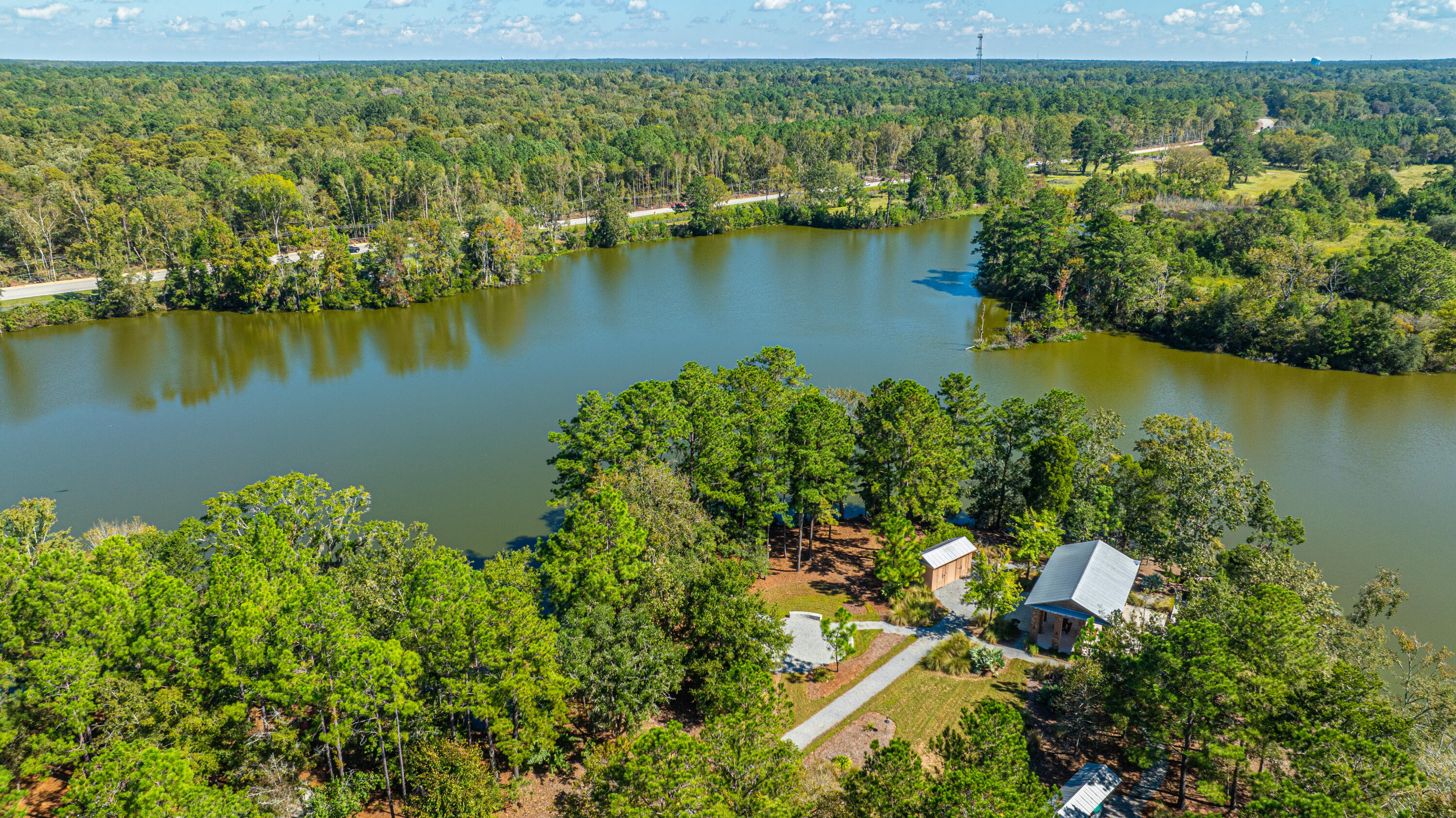 231 Narrowleaf Avenue