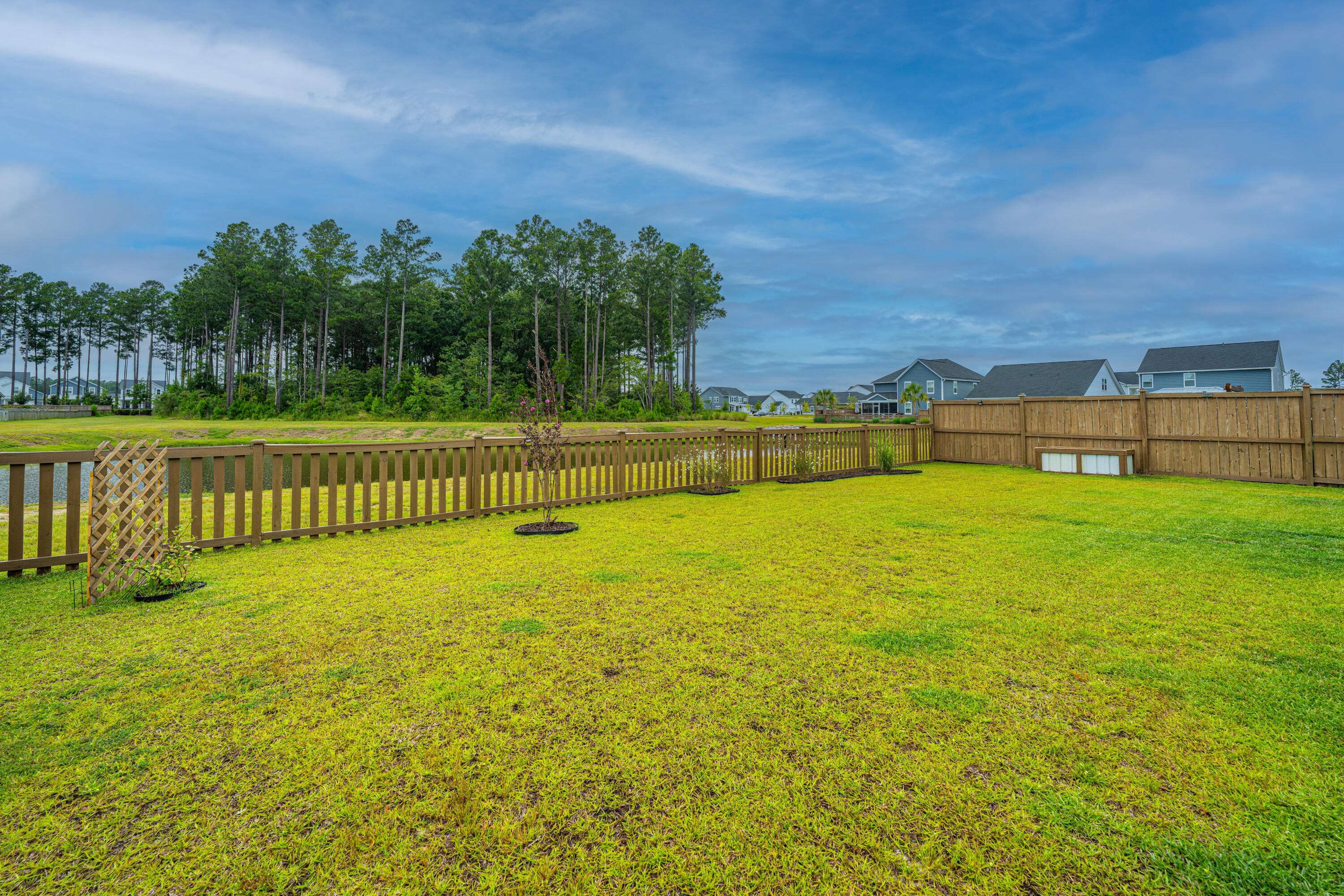 231 Narrowleaf Avenue