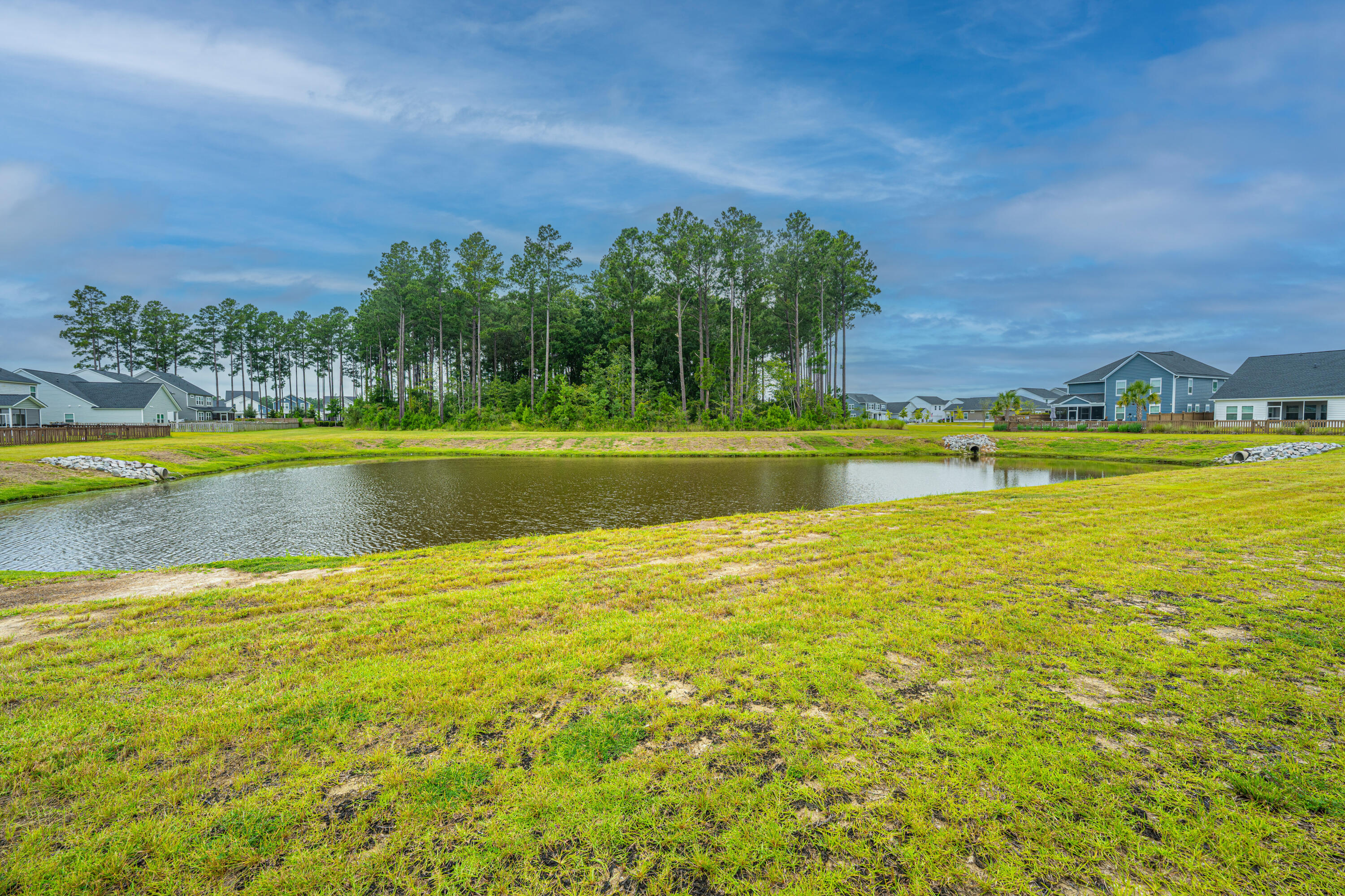 231 Narrowleaf Avenue