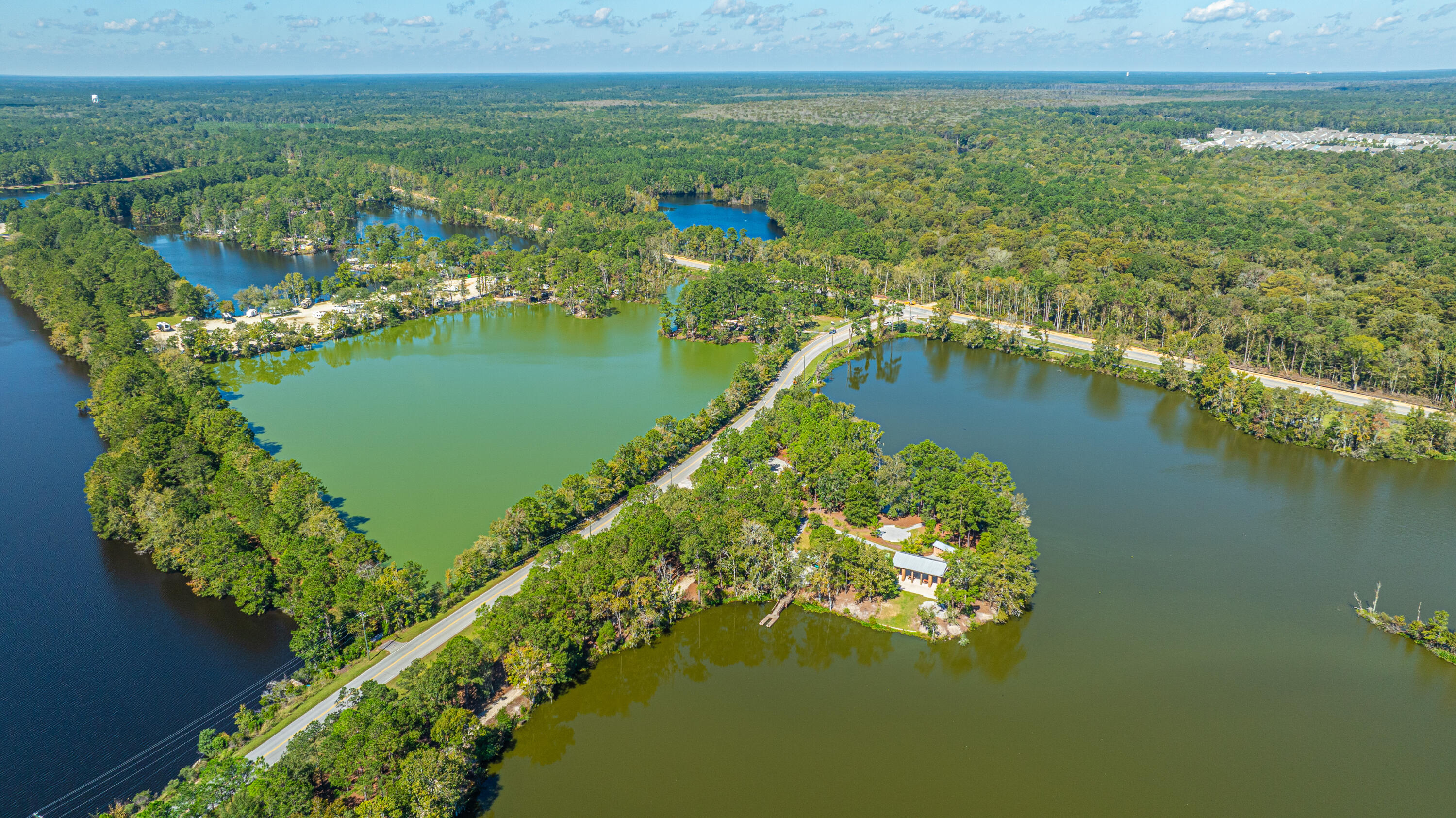 231 Narrowleaf Avenue