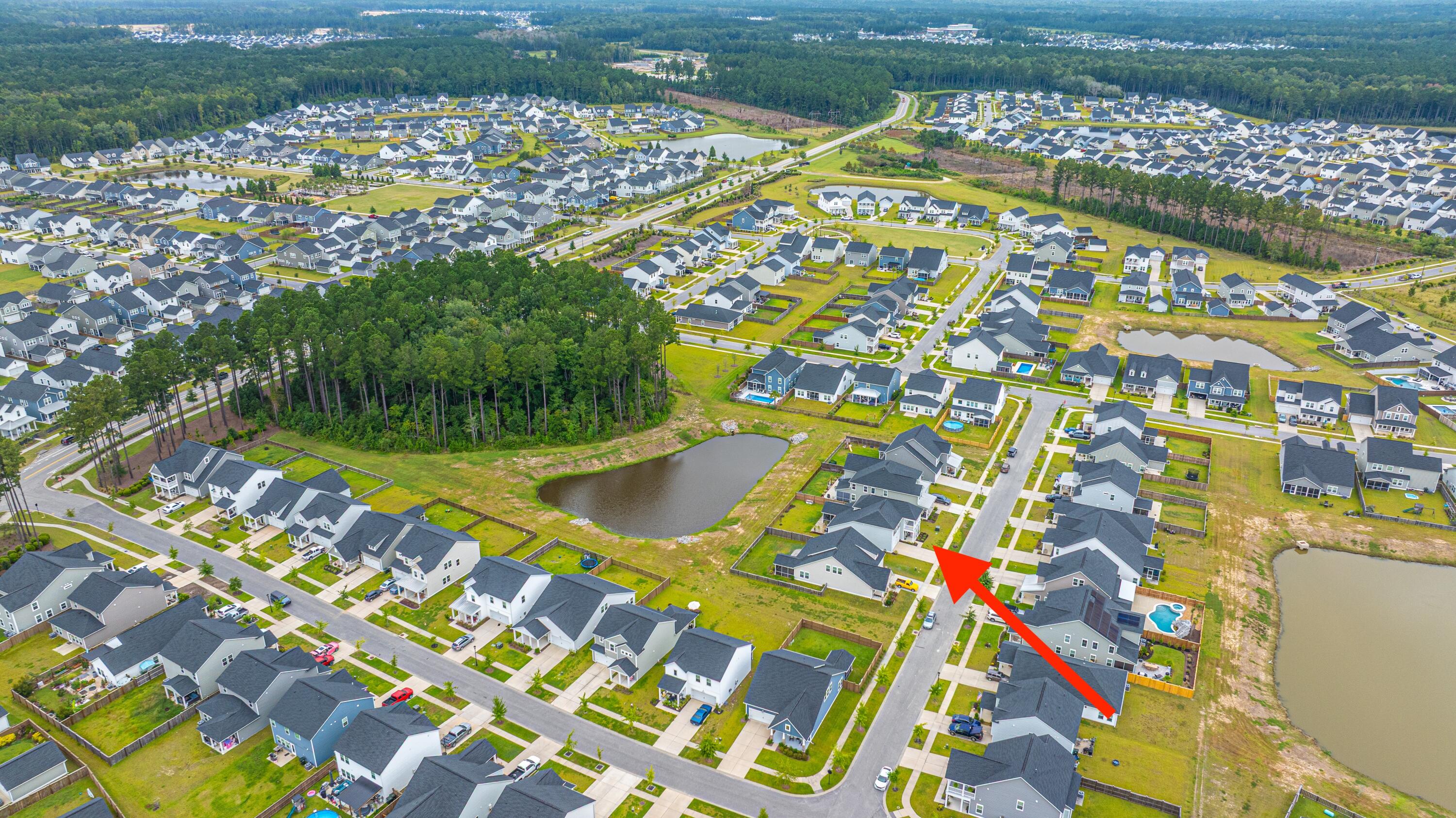 231 Narrowleaf Avenue