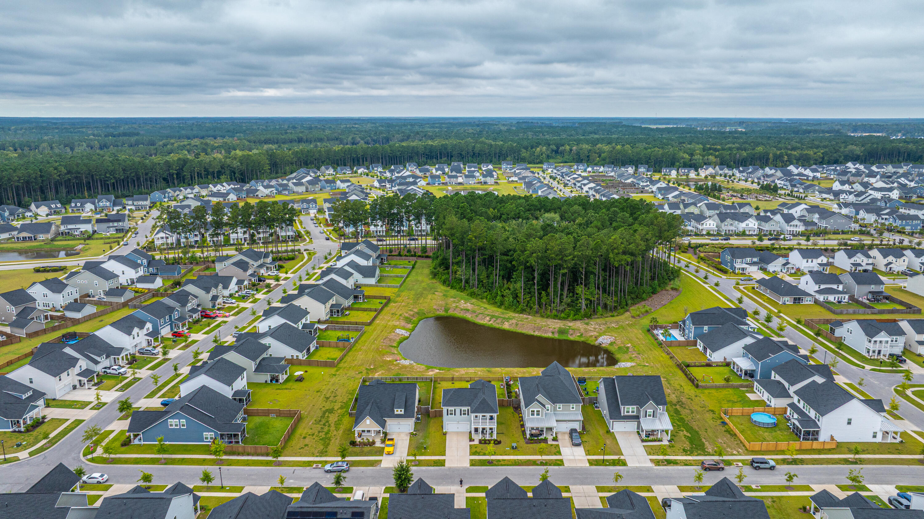 231 Narrowleaf Avenue