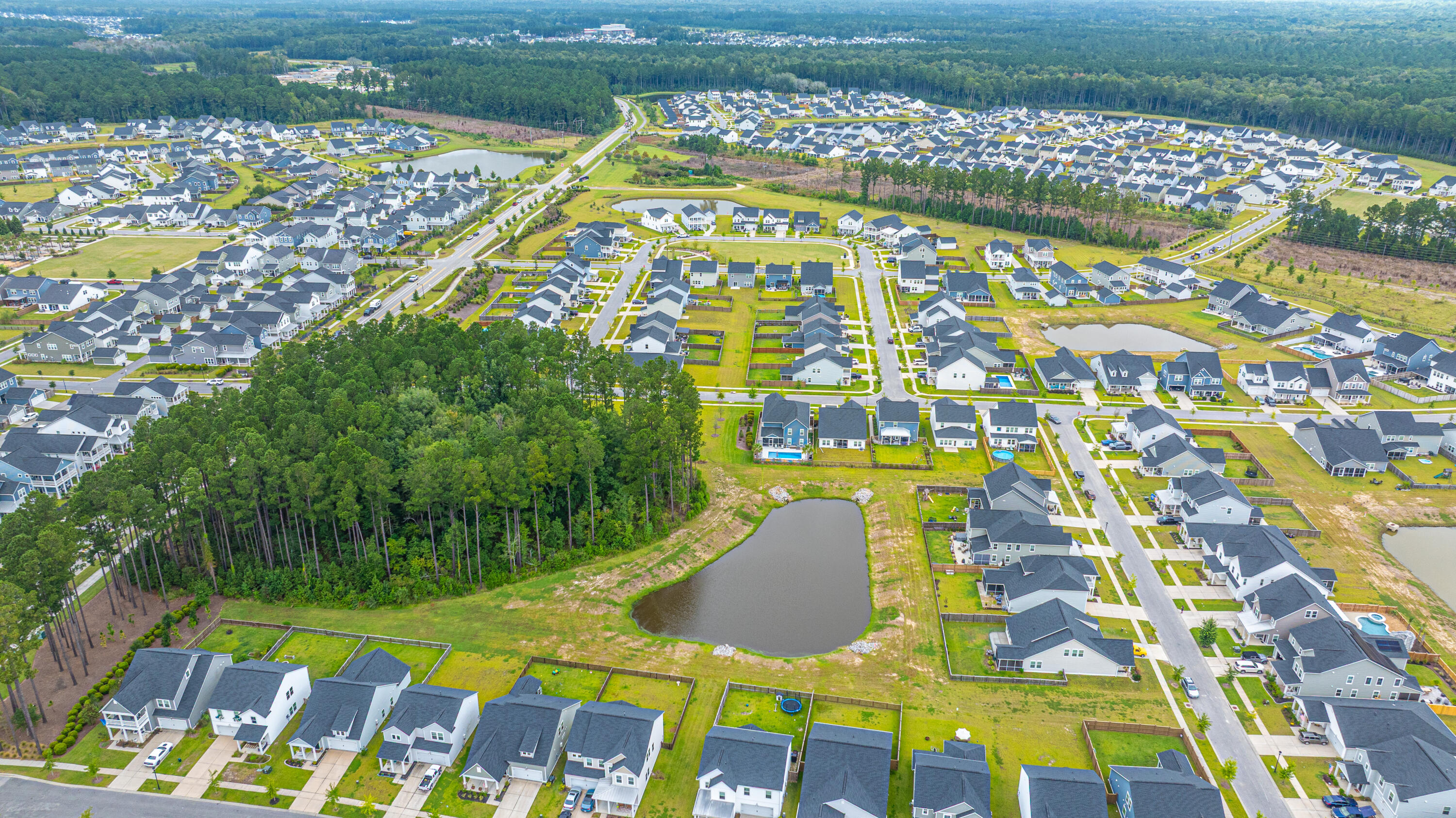 231 Narrowleaf Avenue