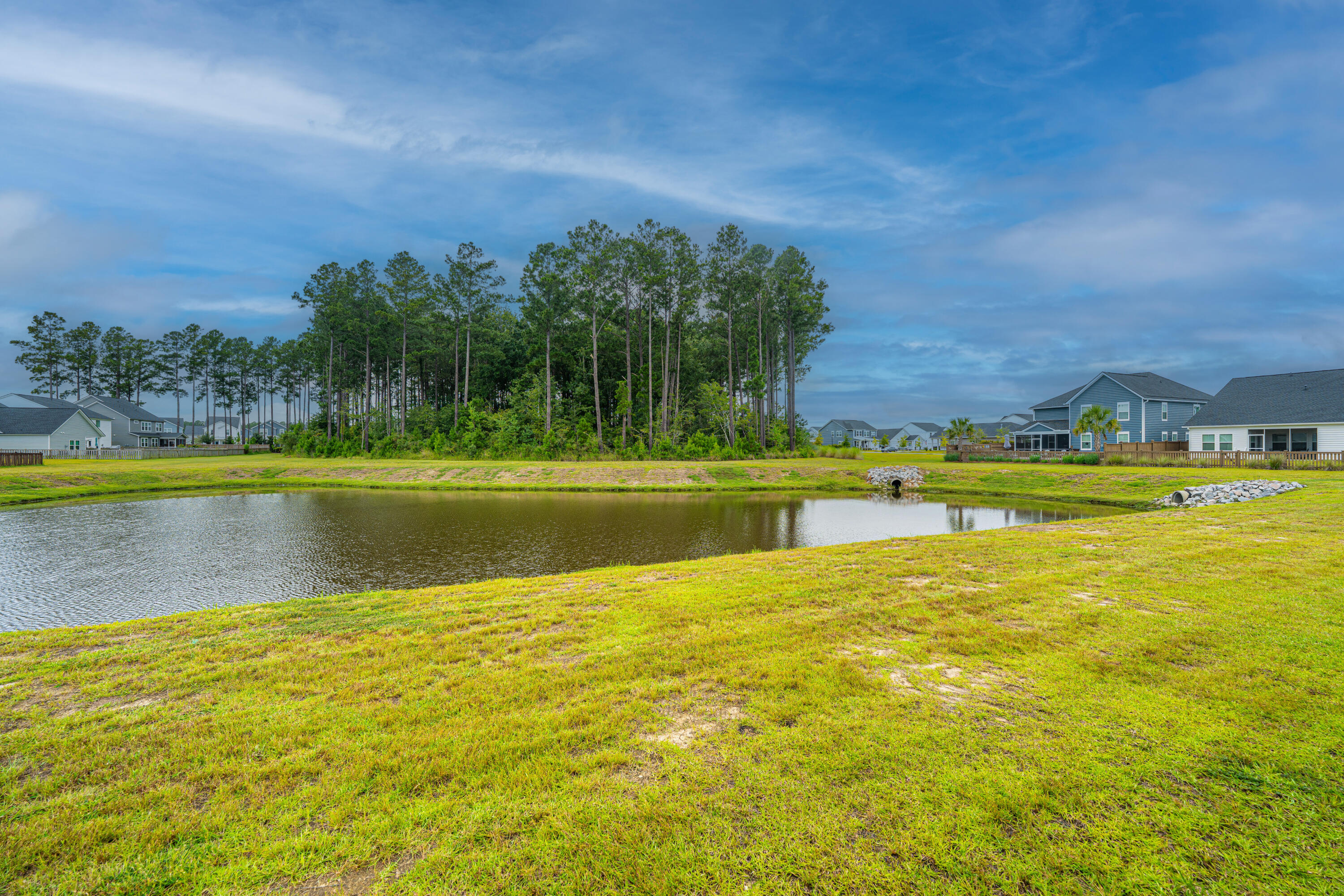 231 Narrowleaf Avenue