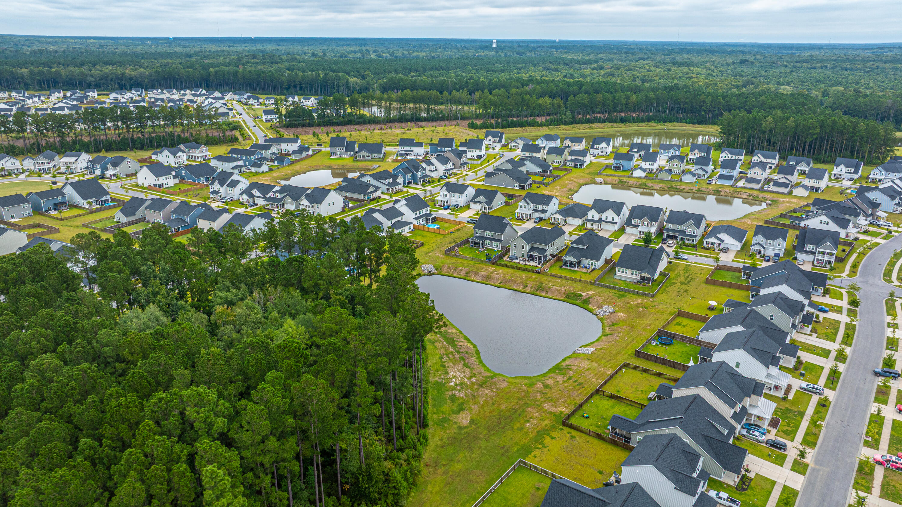 231 Narrowleaf Avenue