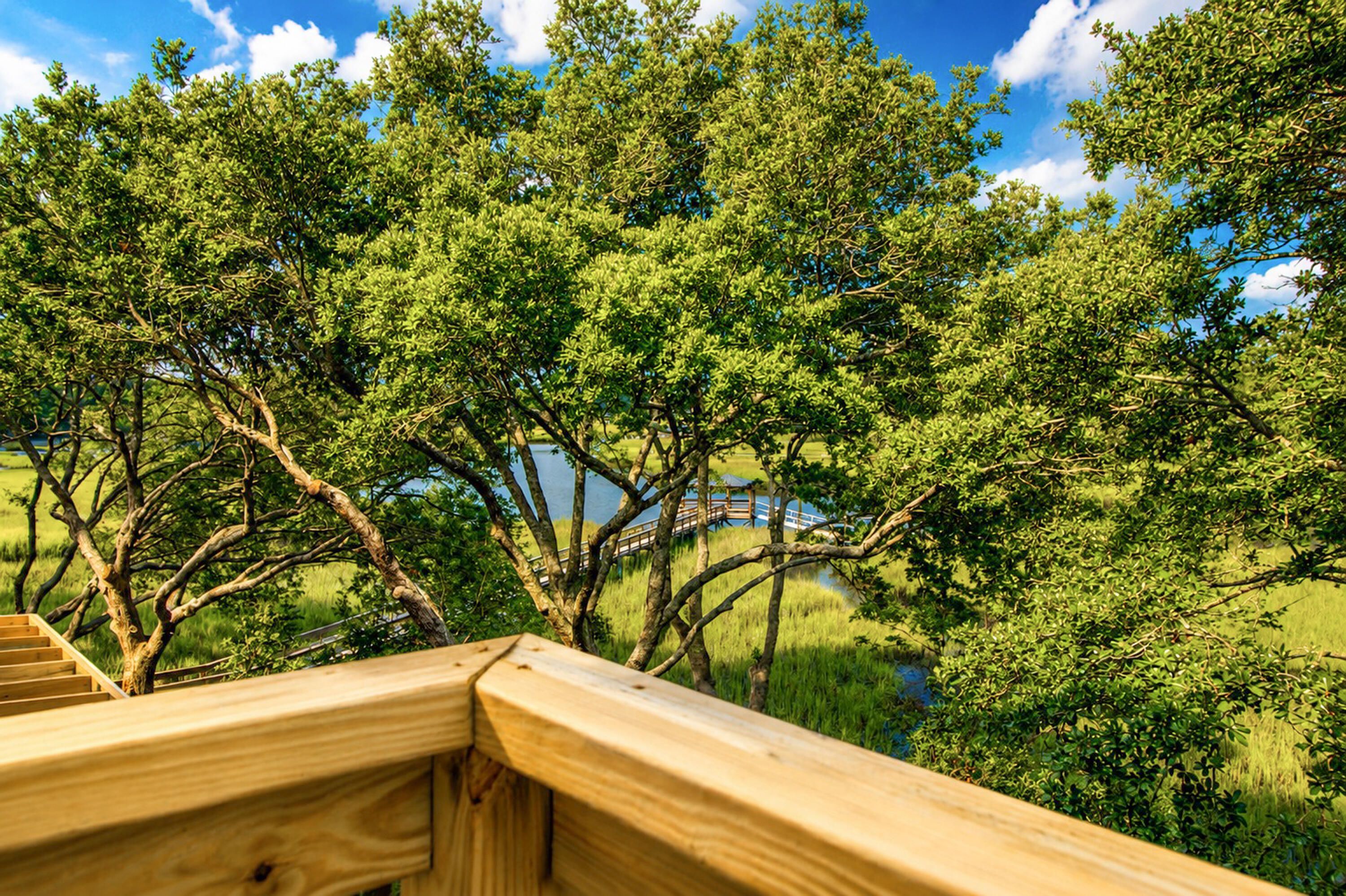 830 Curved Creek Court