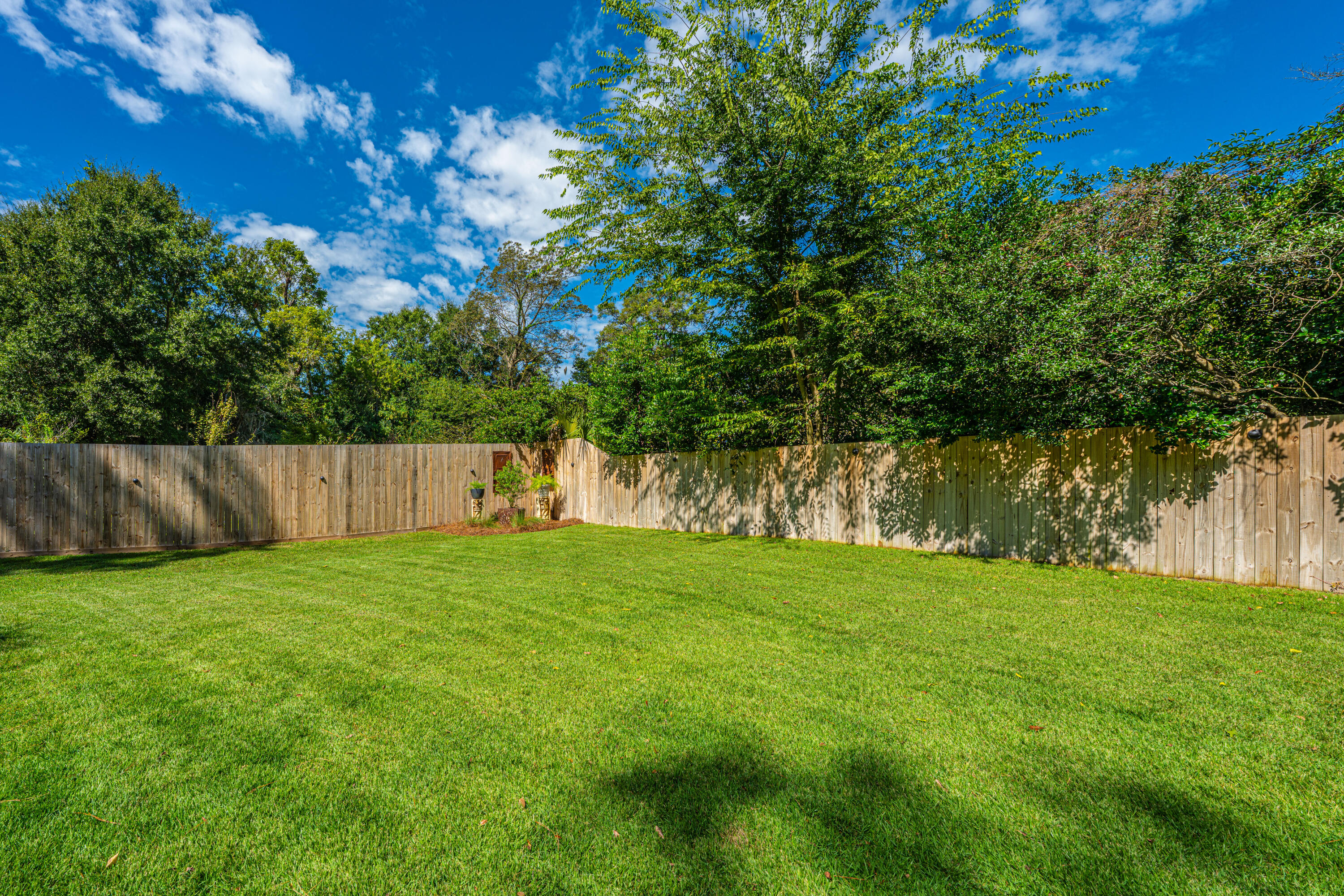 117 Fishburne Street