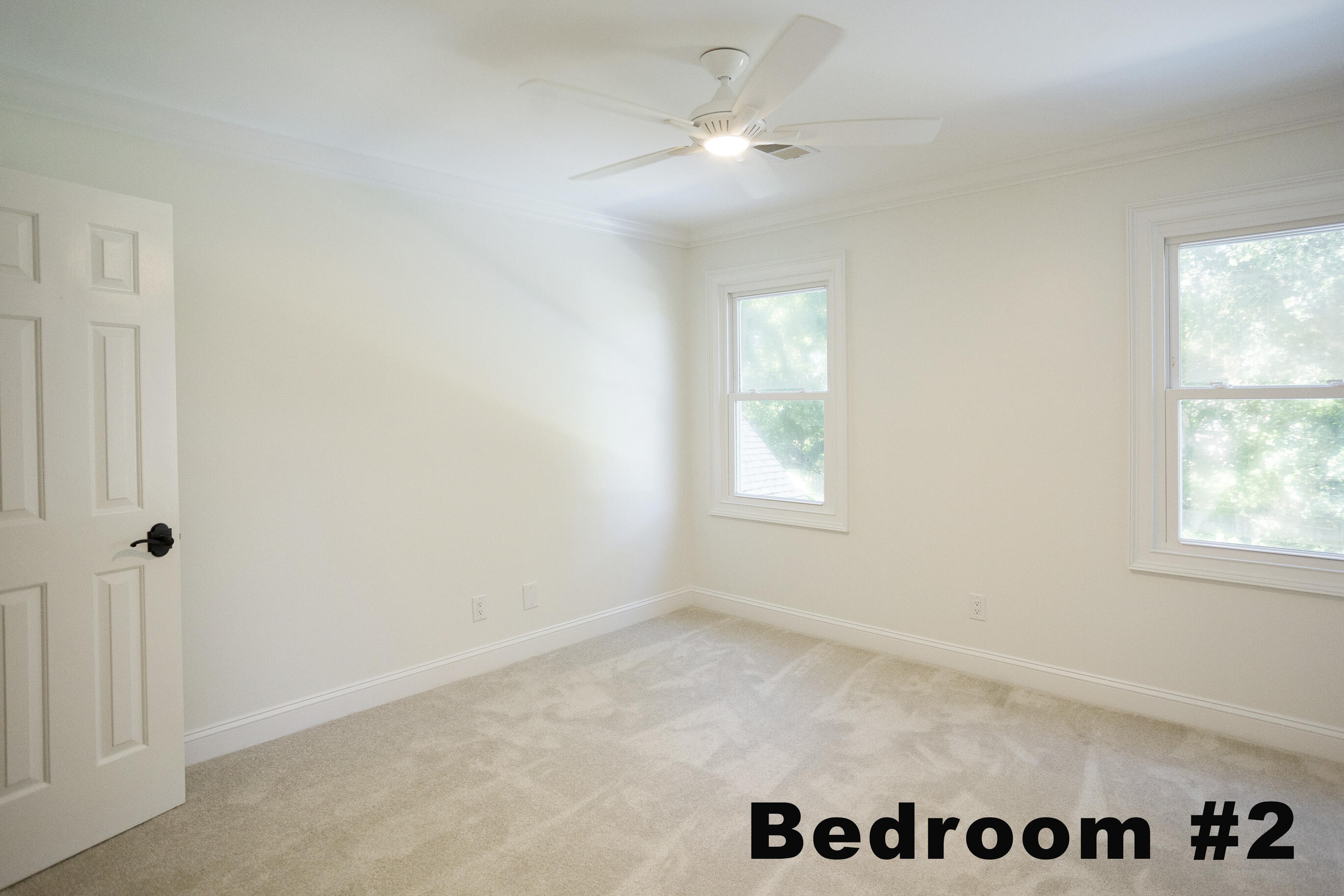 699 Castle Pinckney Drive